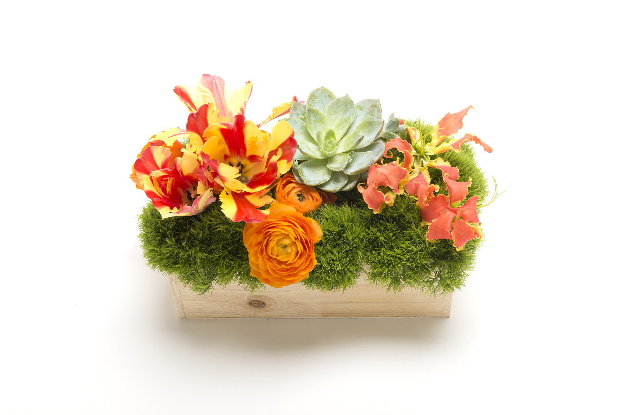 2014-03-06 Kawaji5093.jpg