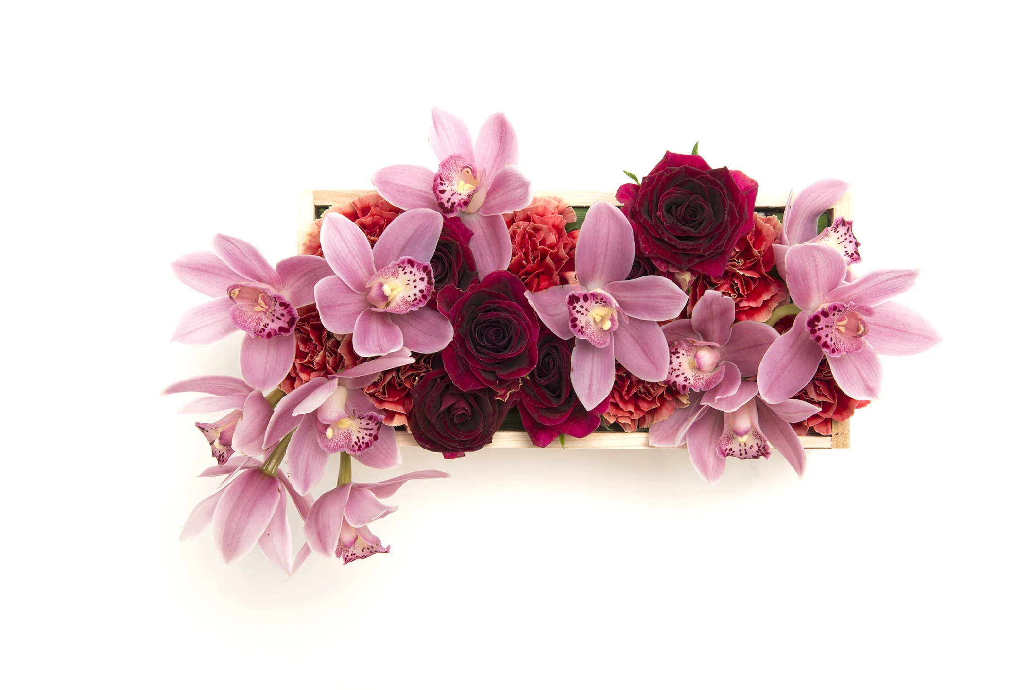 2014-03-06 Kawaji5102.jpg