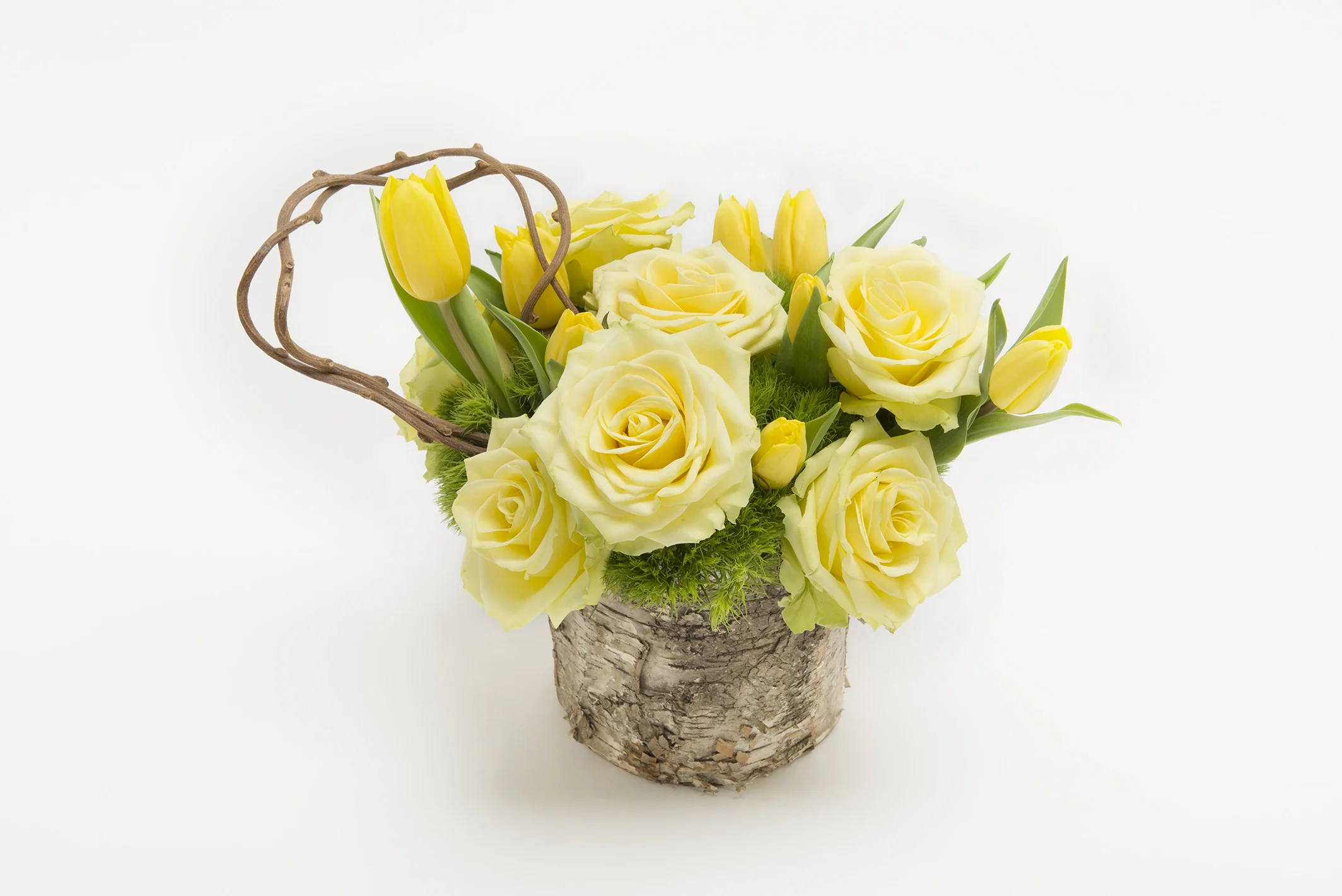 2014-03-06 Kawaji5172.jpg