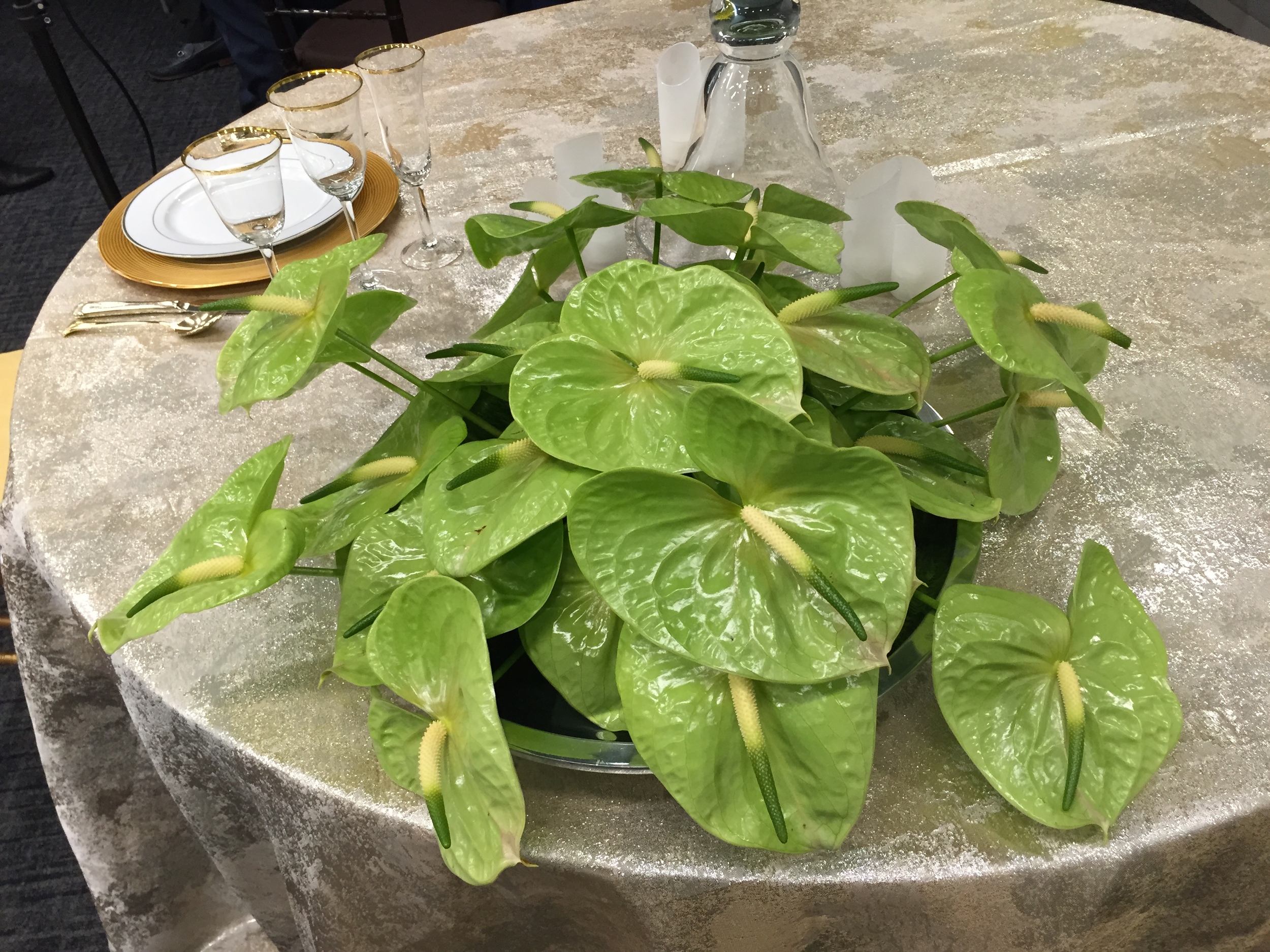 2015-01-15 14.52.07.jpg