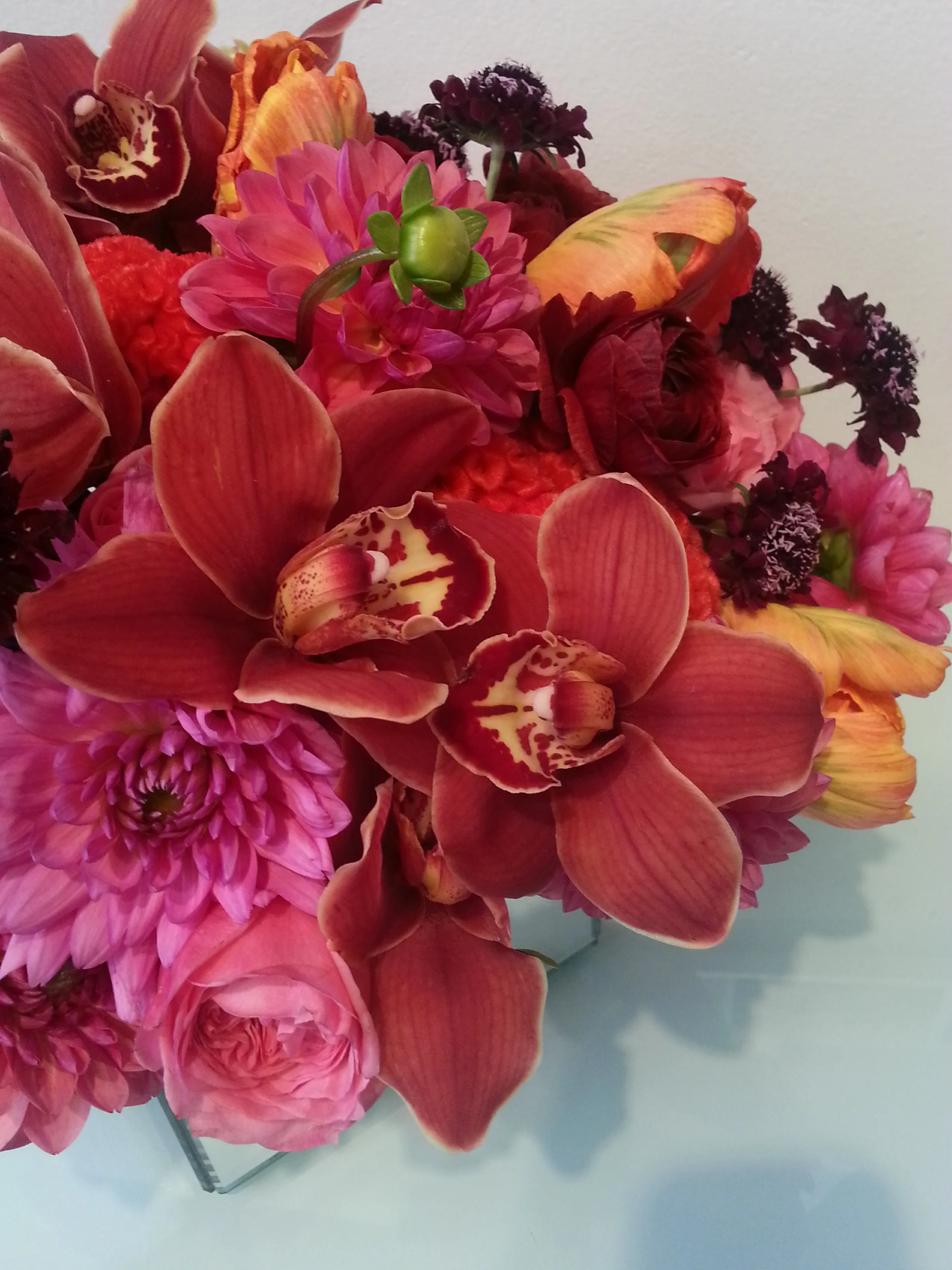 2014-09-17 12.39.57.jpg