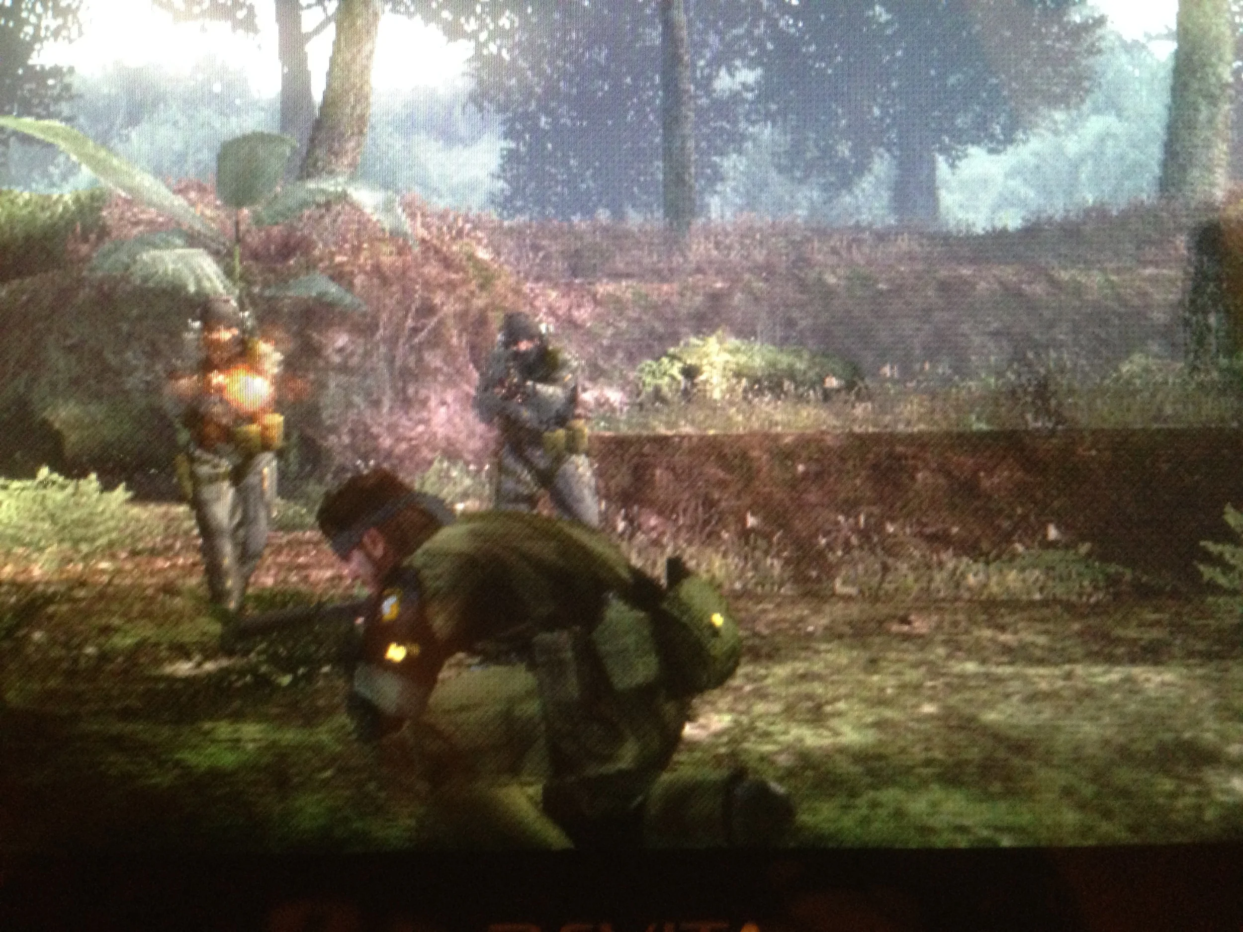 Snake_Crouching.jpg