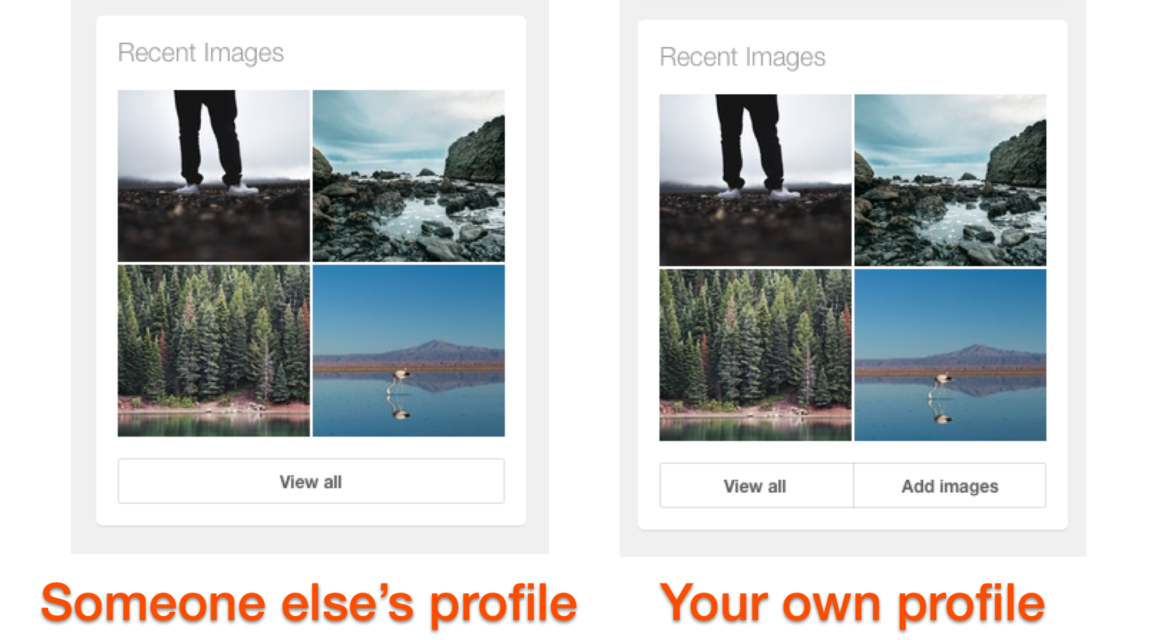 Recent images
