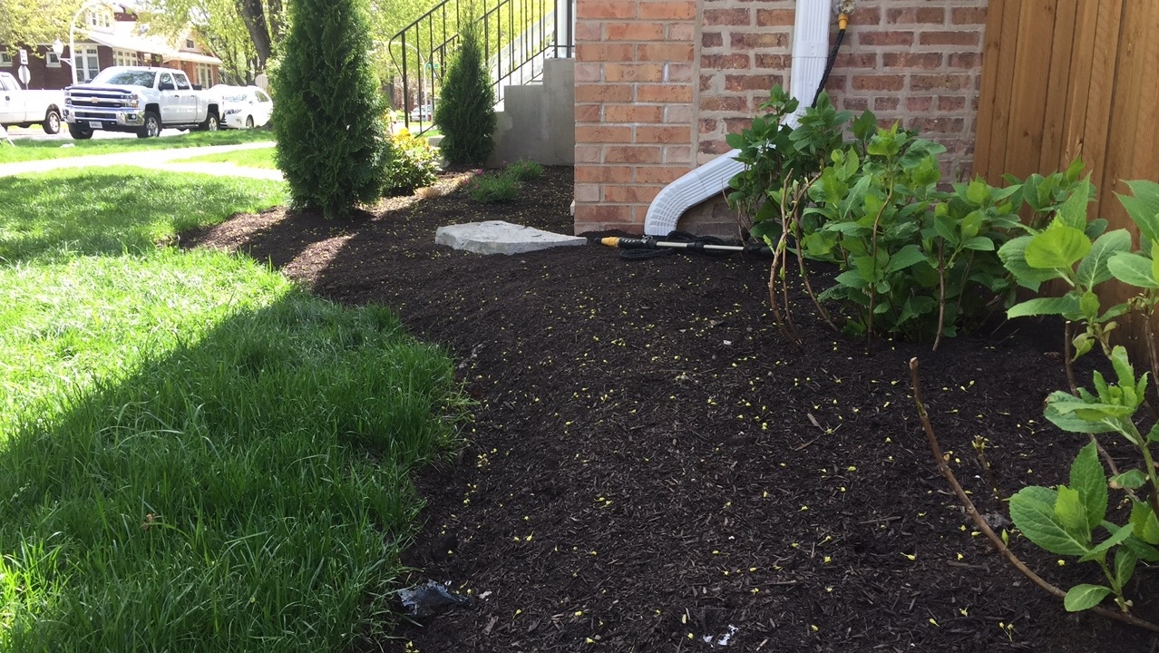 Chicago Landscape Installation