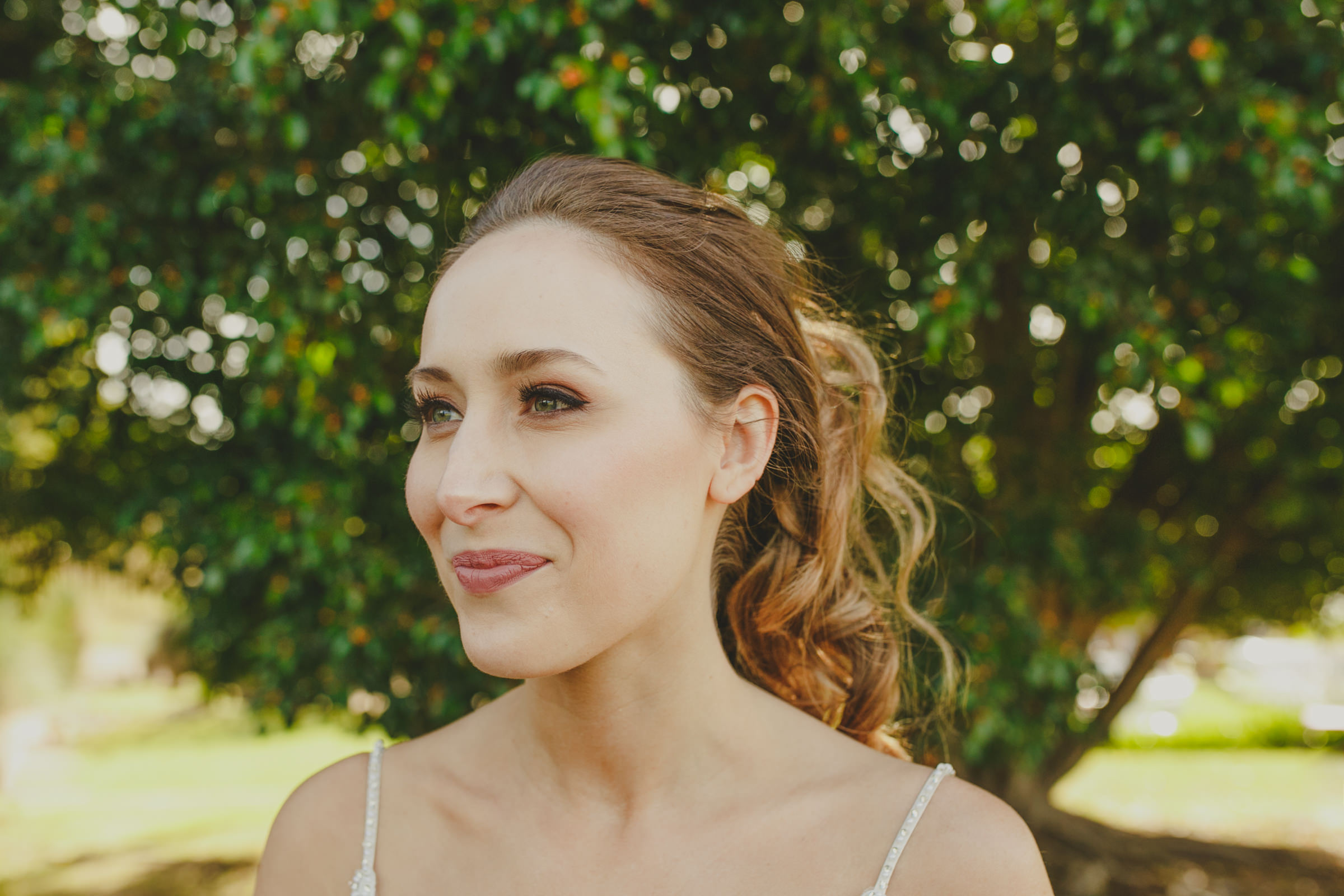   The Wedding Architect  