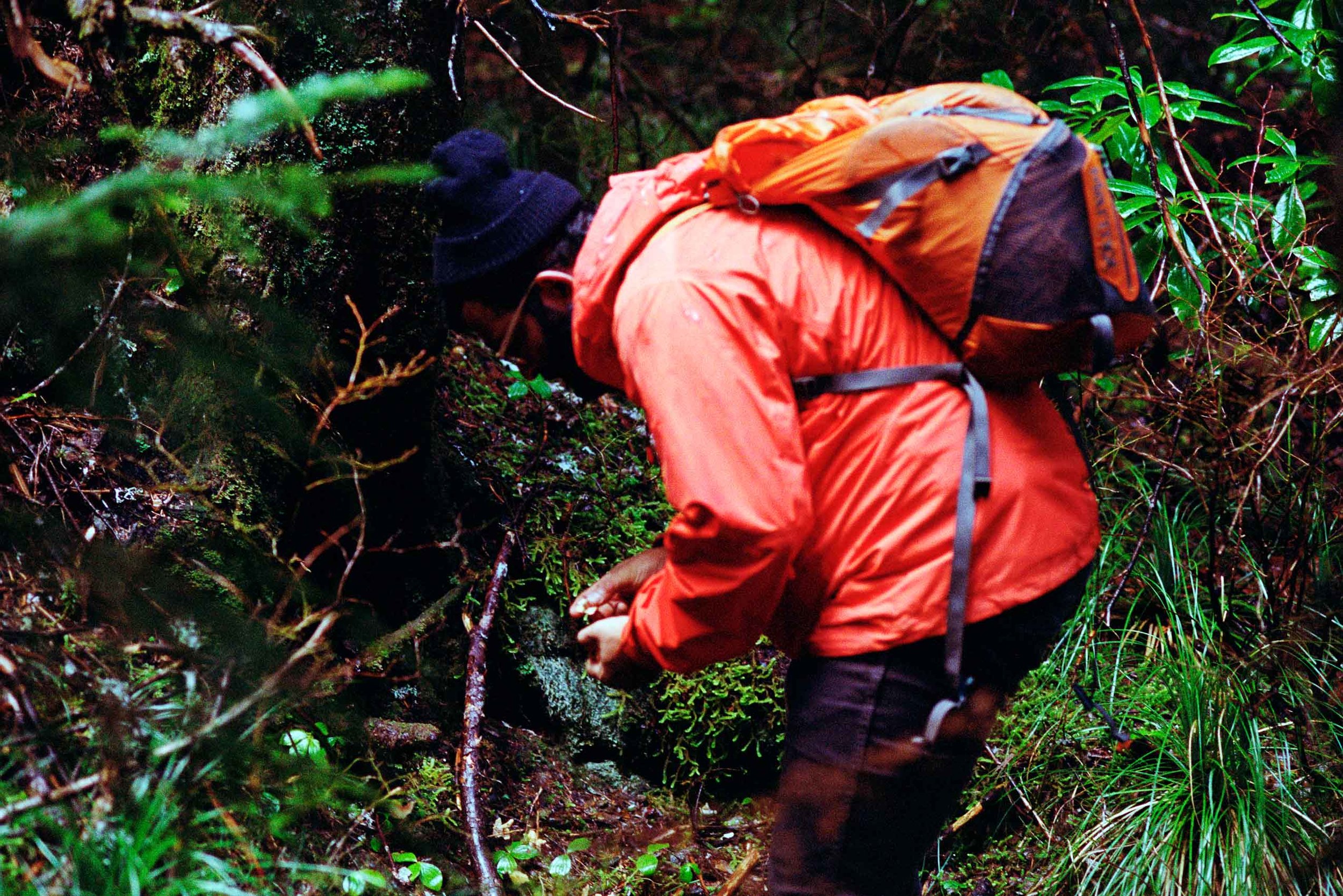 Priyesh mushroom hunting, Larch Mountain OR