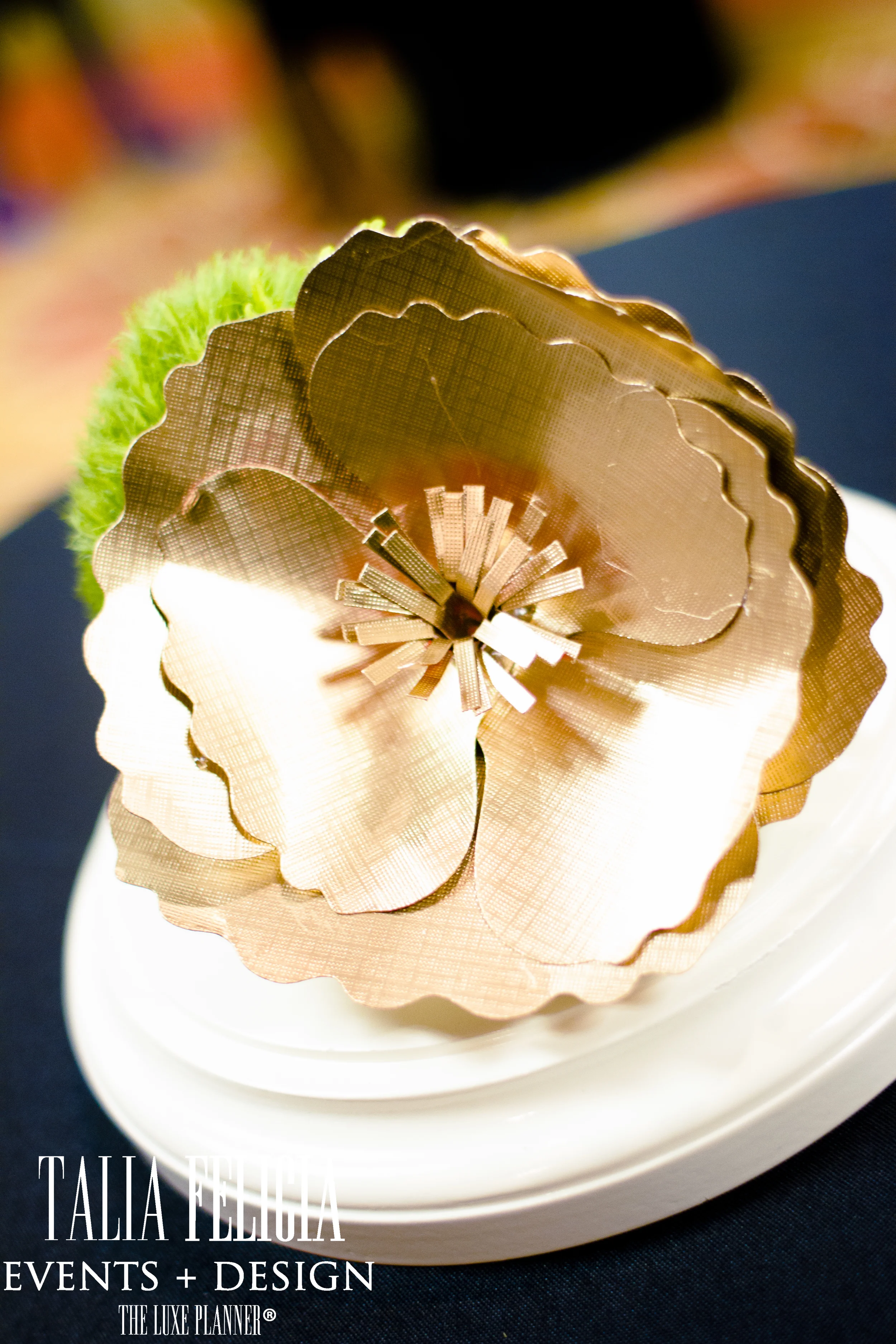 EOS 7D_10760.jpg