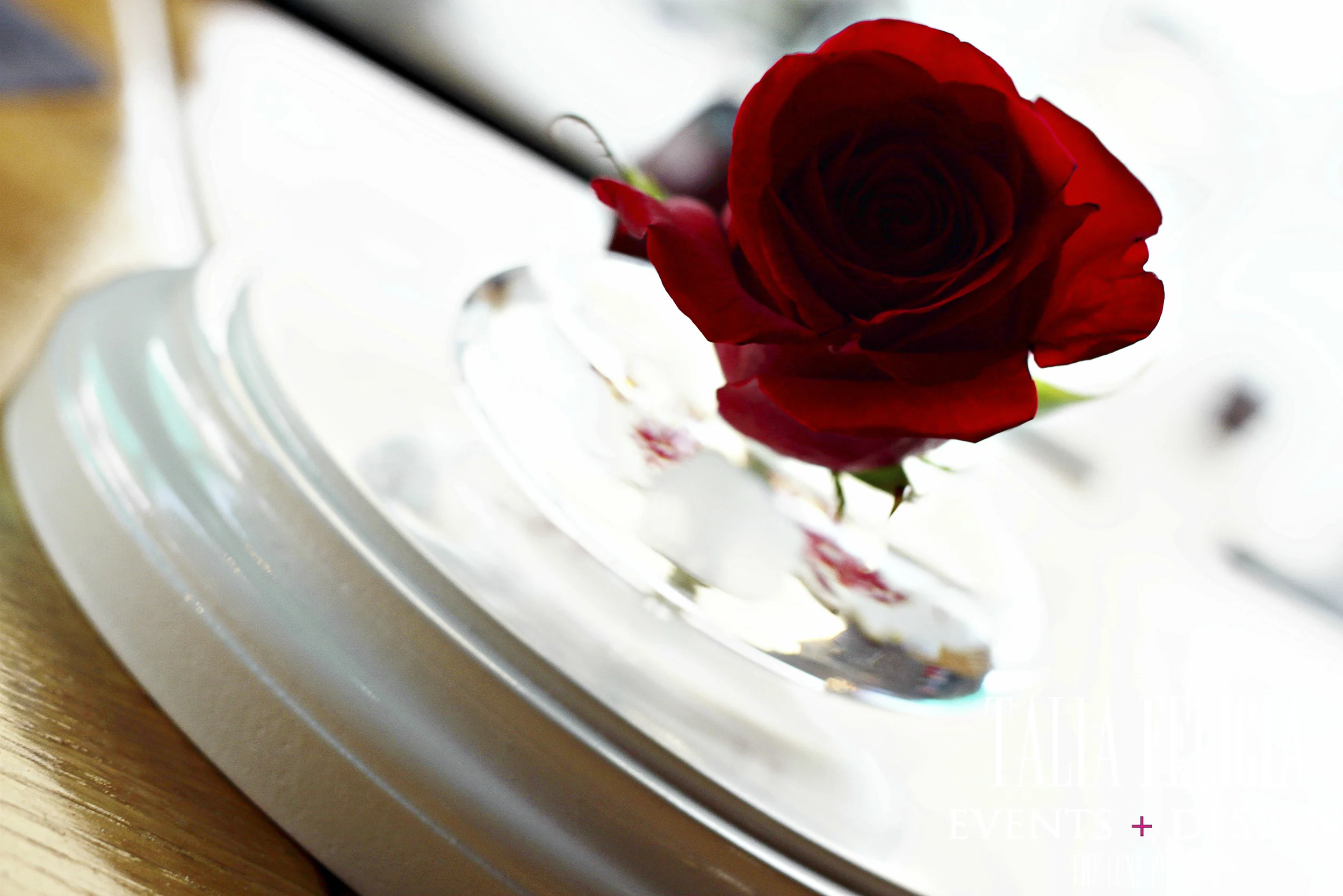 T1i__7956.1.jpg