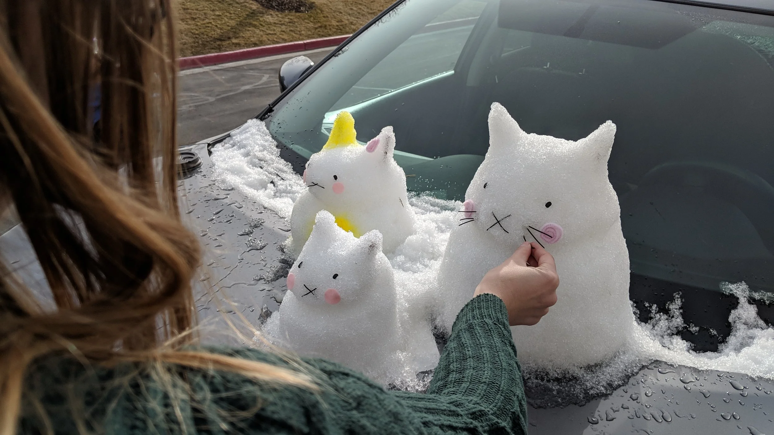 IMG_20180201_110203.jpg