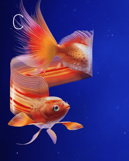 Brand_AI for Business_EN_Adobe Trust What You Create Unmanaged Fish-V1-1080x1080-Animated-NULL-15sec.2024-06-21 14_41_02.gif