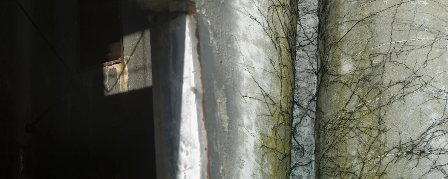 28 Advanced 3 copy.jpg