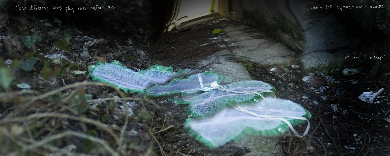 30 Advanced 2 copy.jpg