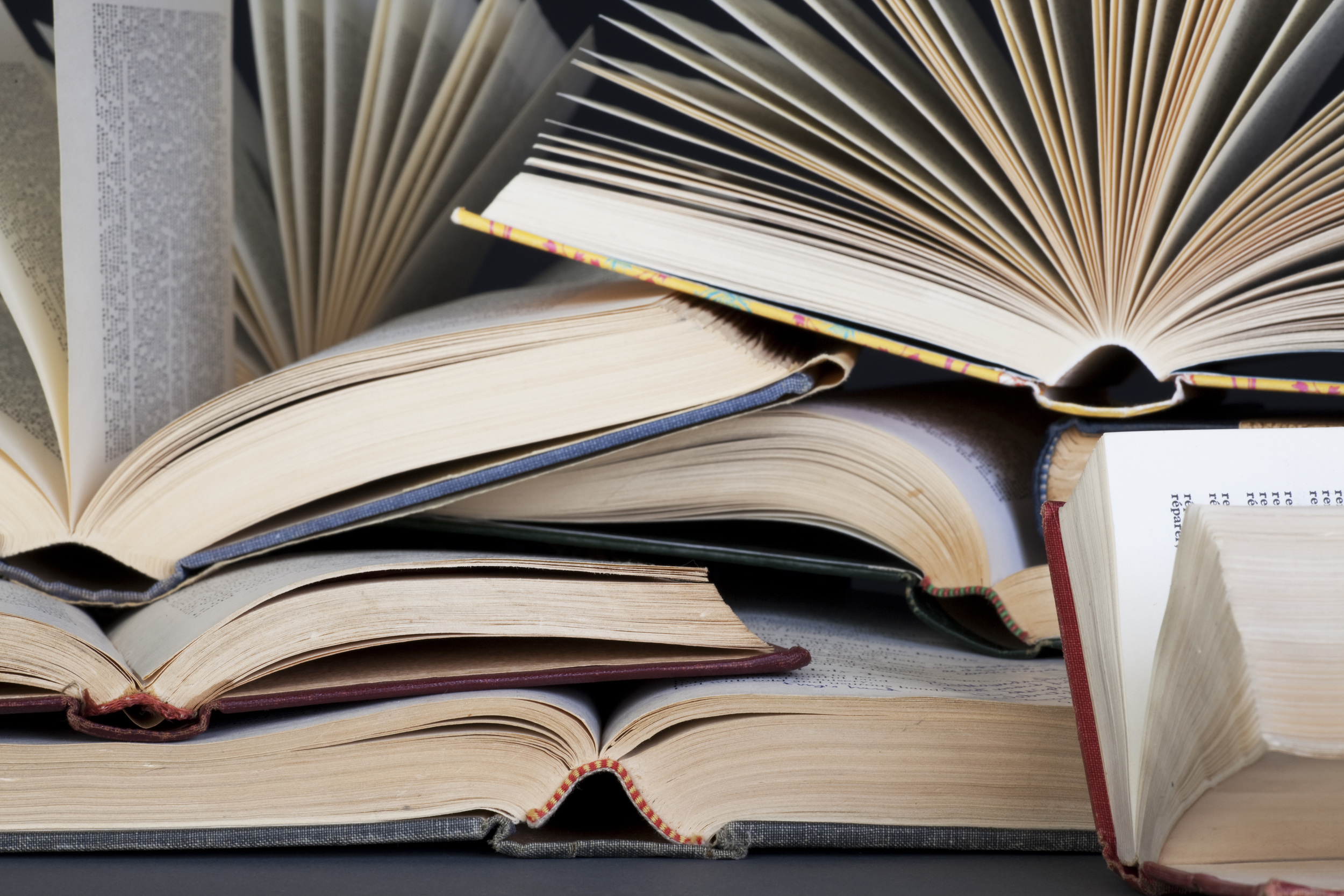 3 AliBooks 14296 copy.jpg