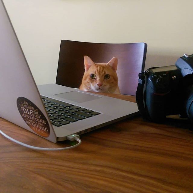 Shooting at home today; Tegan's got me covered with digi teching