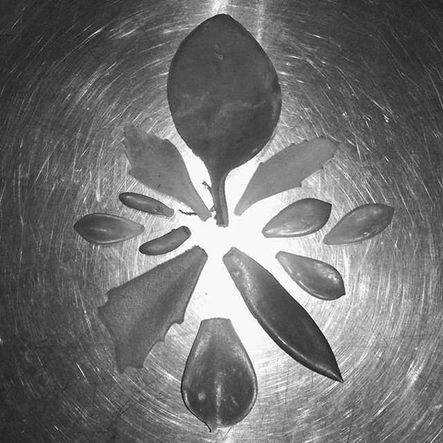 2/7 B&amp;W challenge.  No people, no explanation.  Today I challenge @strangelycasey