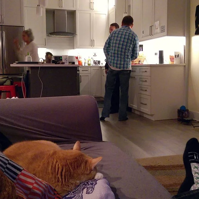 52/100 A portrait of contentment
#100daysofportraits #100daysin10 #home