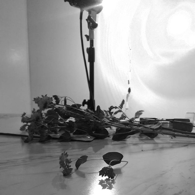 B&amp;W challenge 1/7.  No people, no explanation.  Today I challenge @lorrainerudinstyle