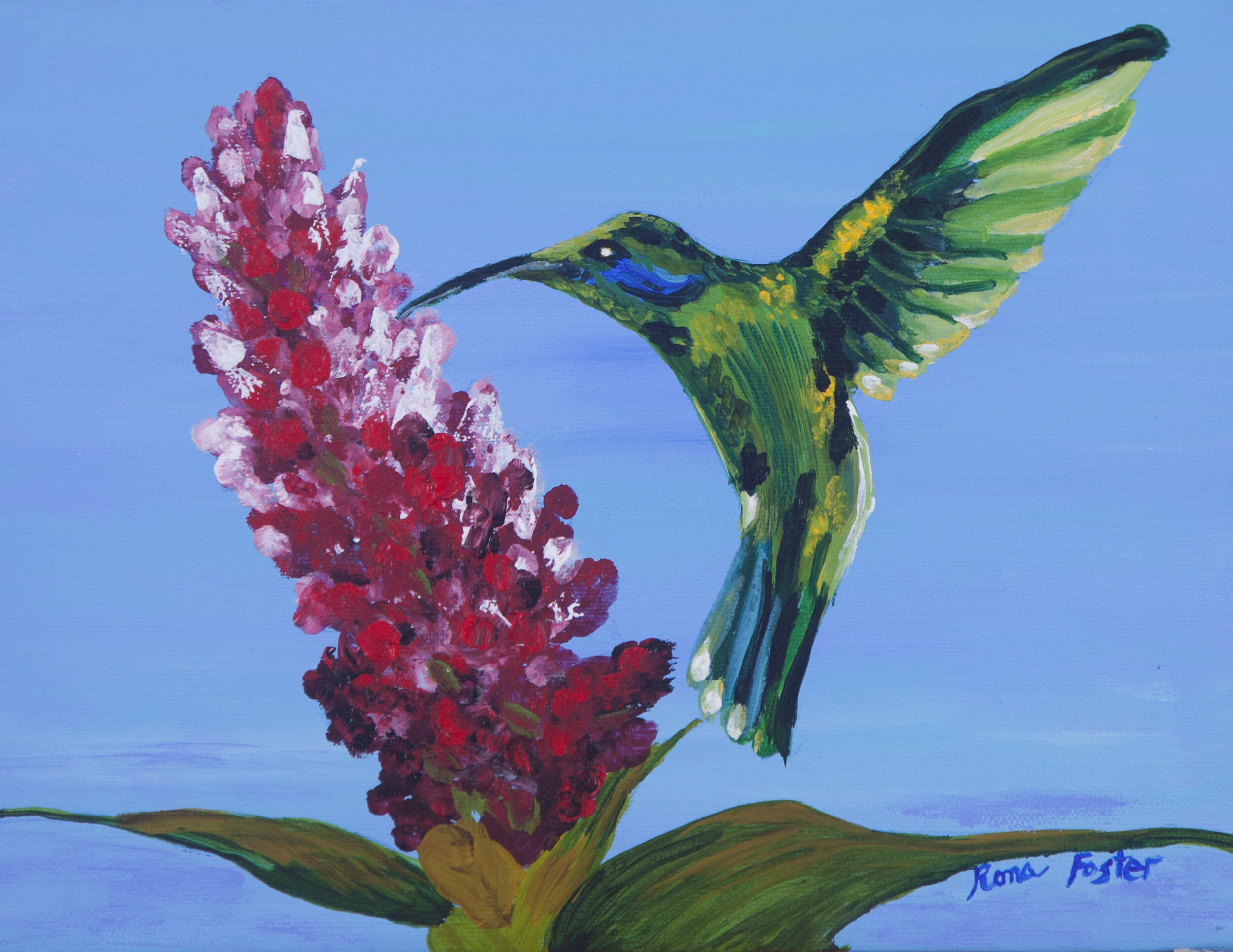 Hummingbird With Ginger Flower