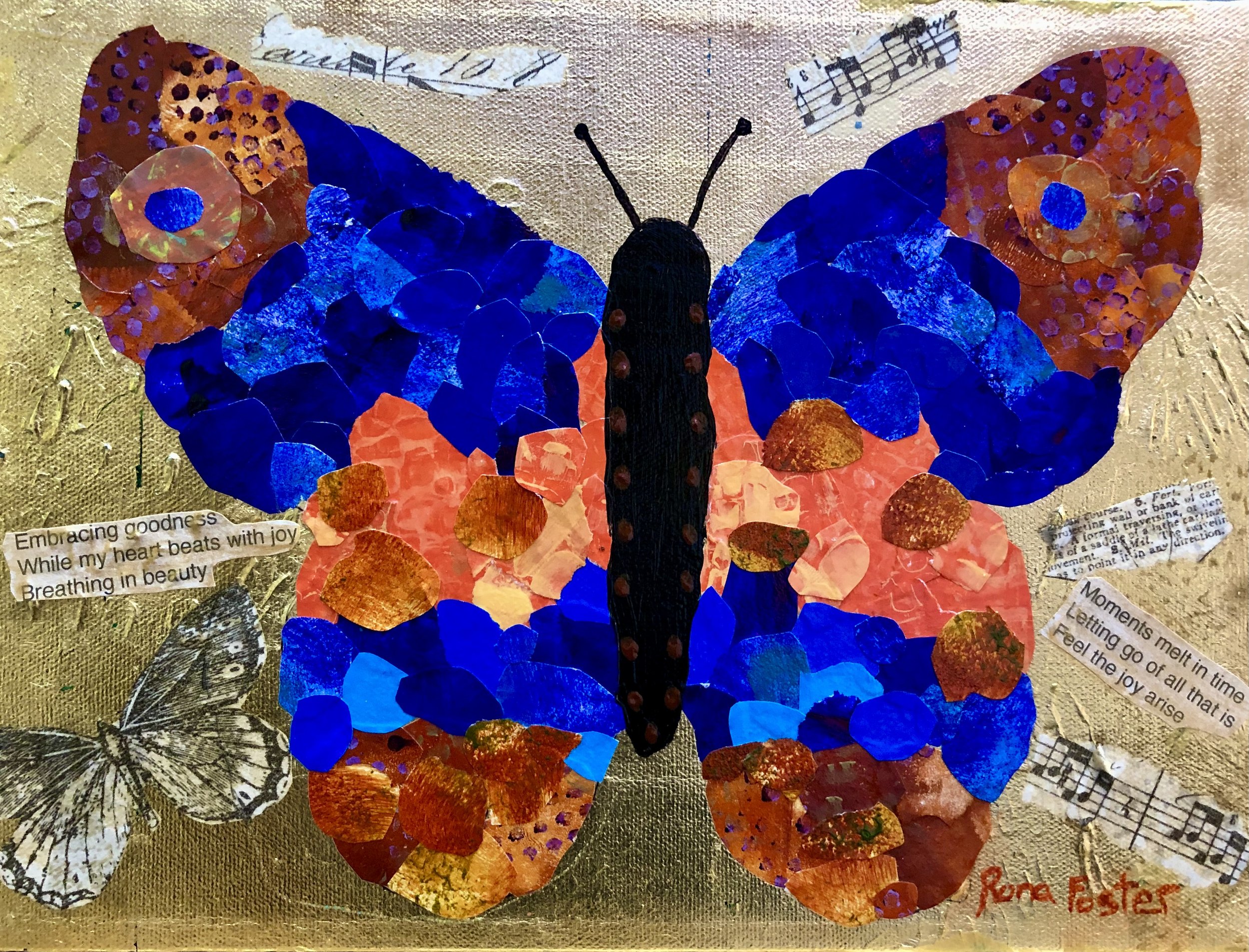 Orange and Blue Butterfly