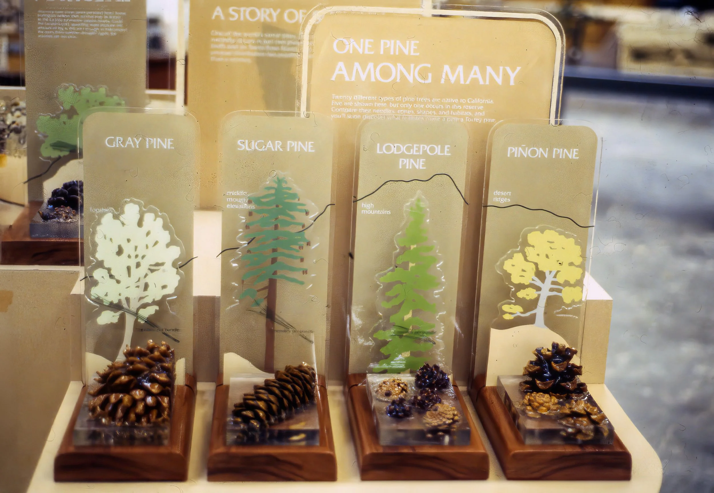 img170 F-topaz-sharpen-color-upscale-2.4x.jpeg