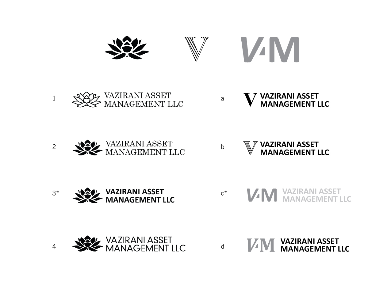 Vazirani Logo Studies