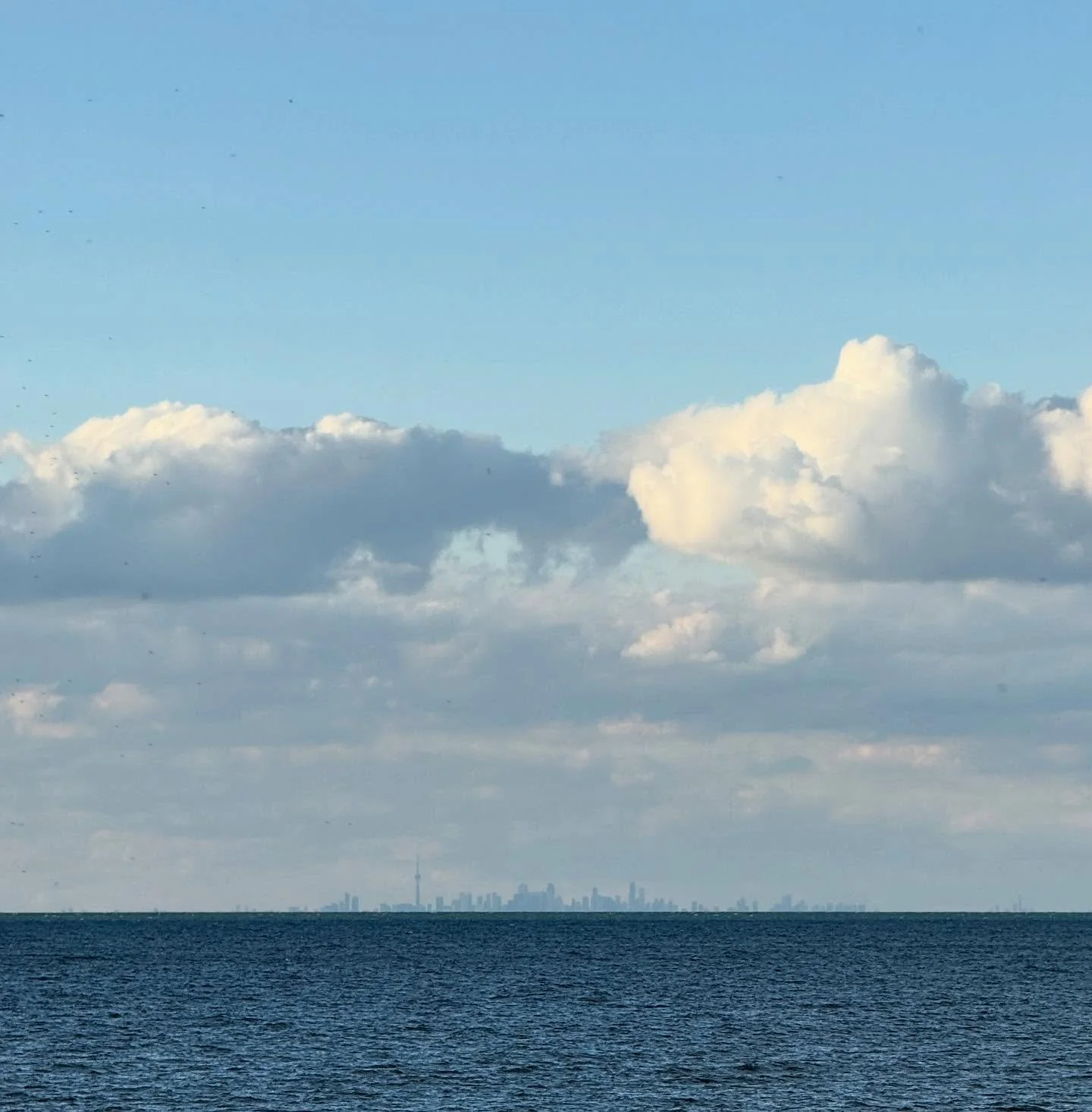 Toronto skyline from Niagara on the lake.