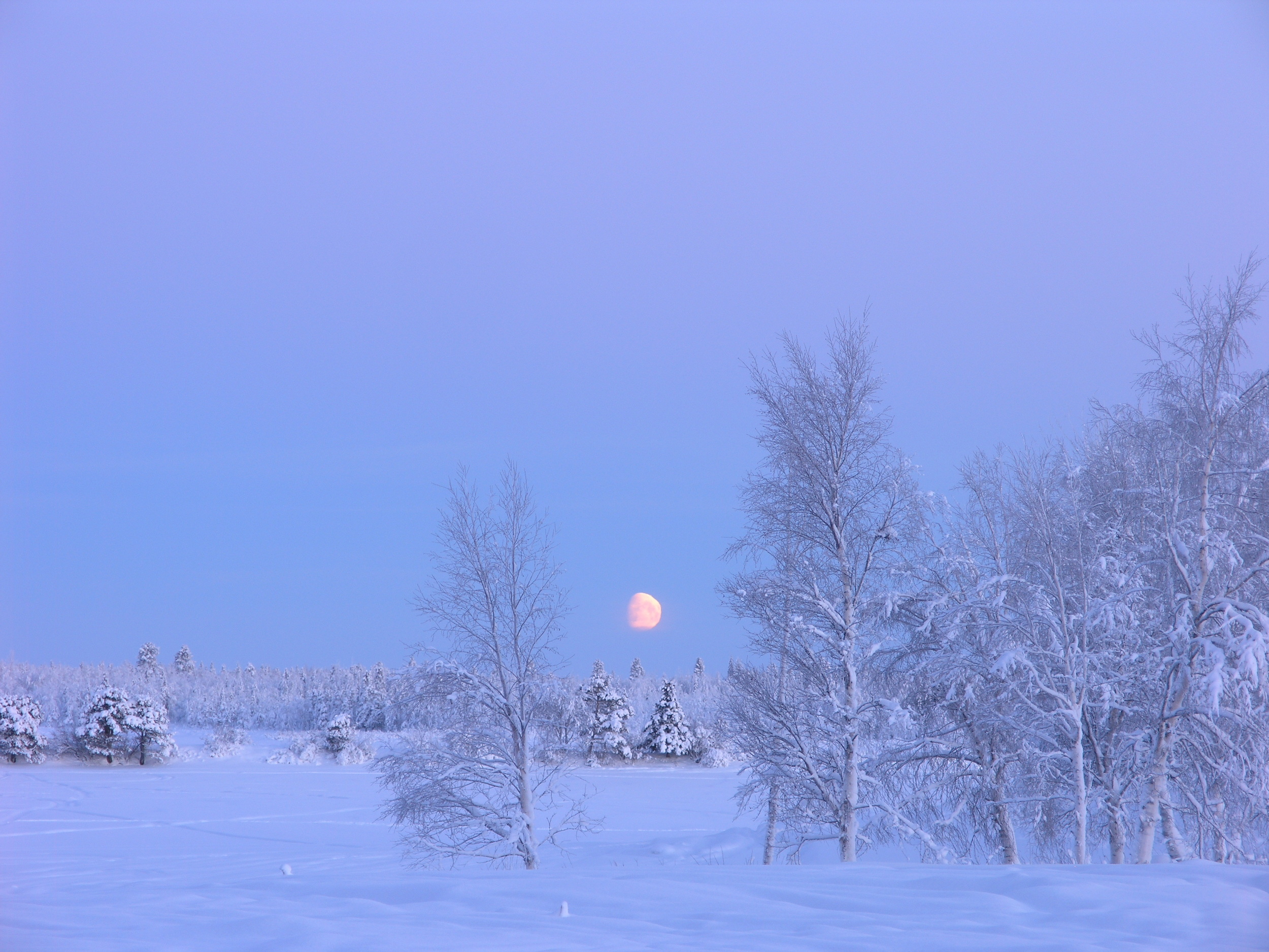December, Moonlit Day