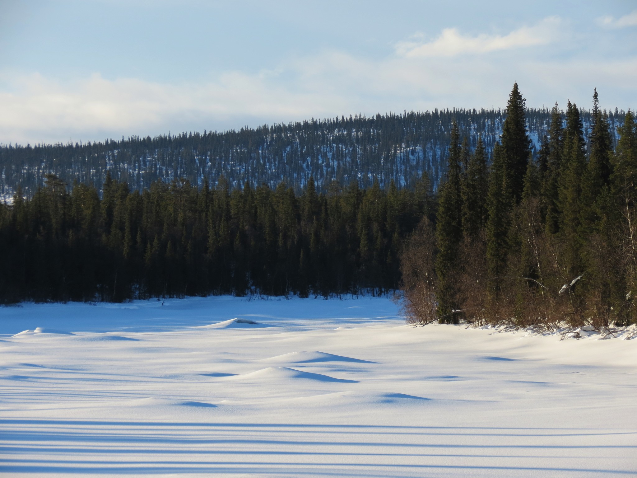 March, bright, mild days