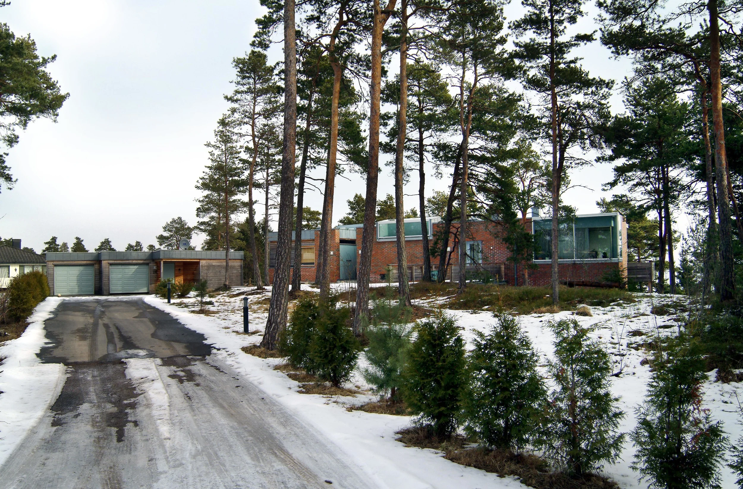 8546.jpg
