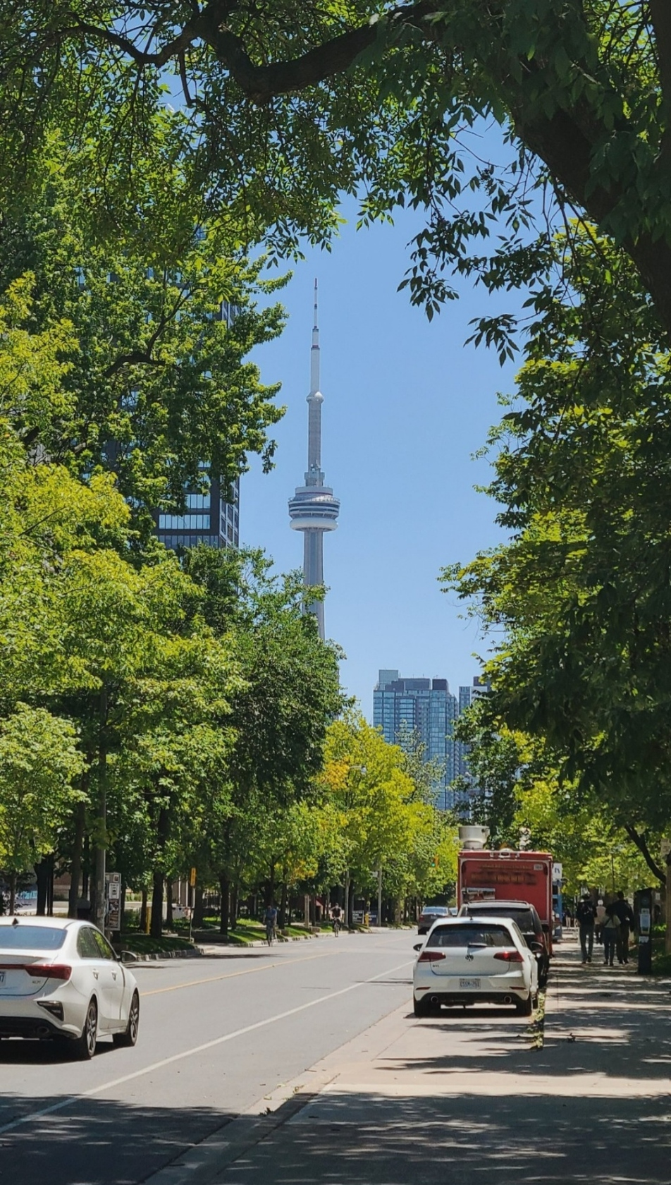St. George Street on the University of Toronto campus