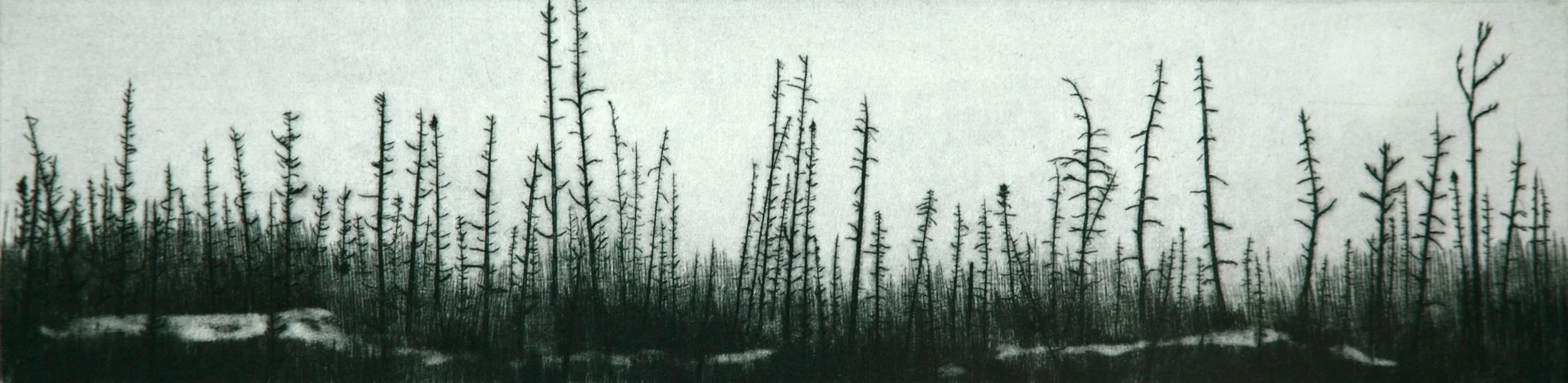 Towards the Far North