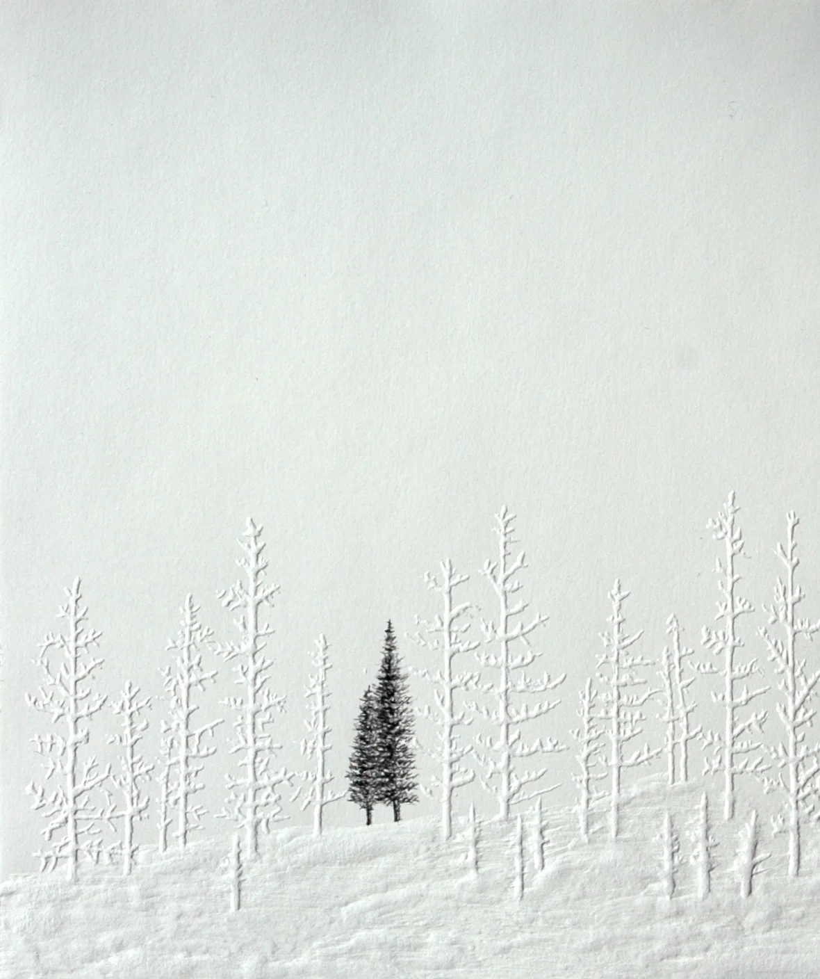 Silent Forest (2nd state)