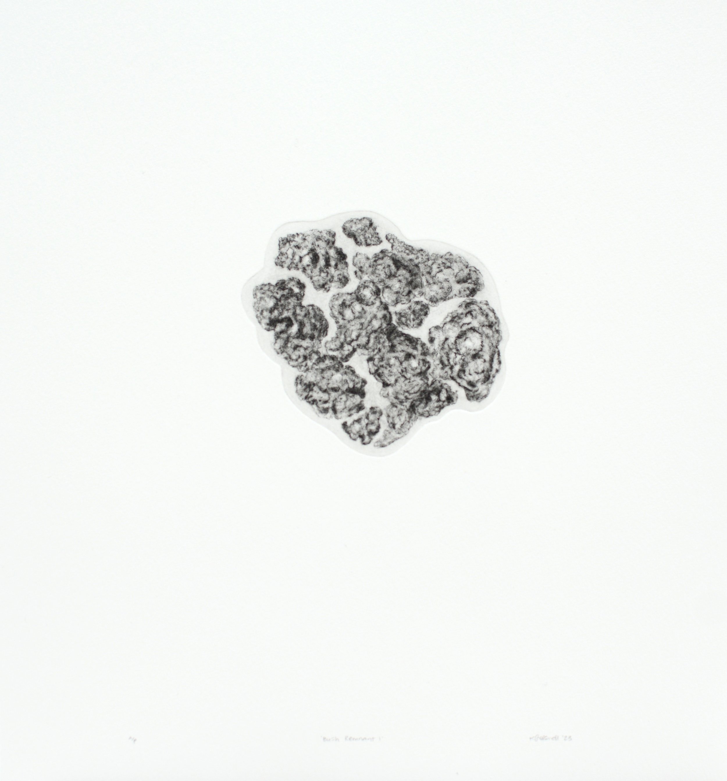 ‘Bush Remnant I’ Drypoint (full)  Ink on Hahnemuhle 300gsm Paper			 Image (variable)- 113 x 125mm Paper- 390 x 340mm Edition of 6 Kyla Cresswell 2023.jpeg