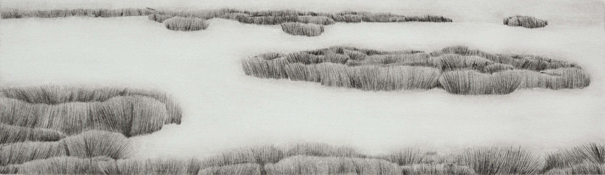  ‘Once Lay a Wetland - Kōreti II’  Drypoint. Ink on Hahnemuhle 300gsm Paper. Image: 151 x 520mm. Paper: 295 x 640mm  Held in the collection of The Southland Museum and Art Gallery, NZ  Kyla Cresswell, 2023 