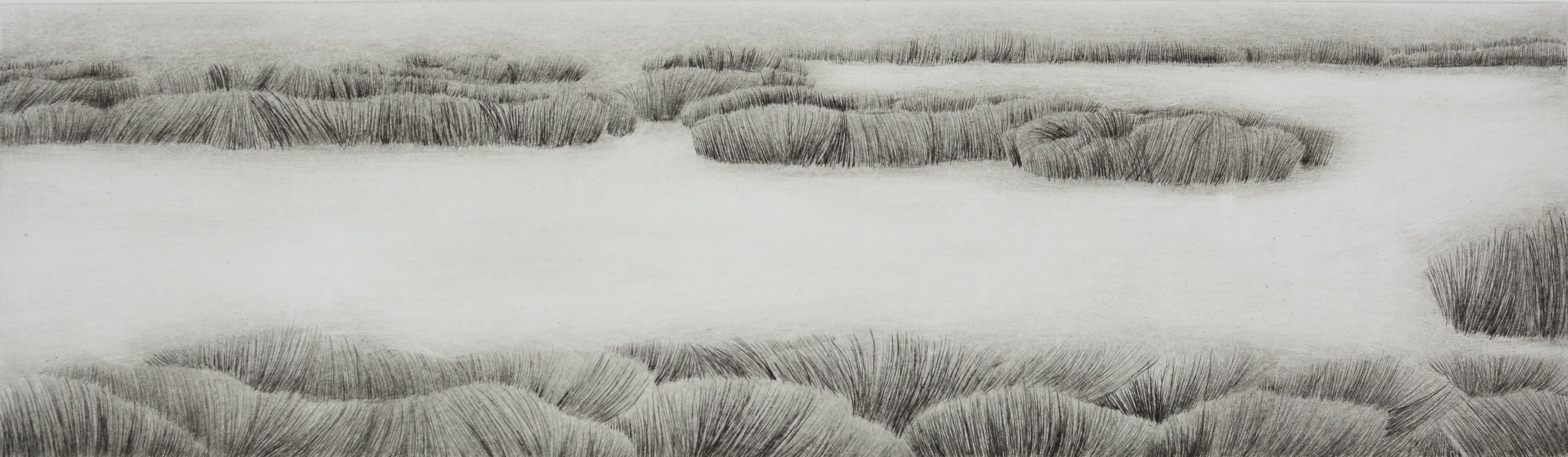  ‘Once Lay a Wetland - Kōreti I’   Drypoint. Ink on Hahnemuhle 300gsm Paper Image: 151 x 520mm Paper: 295 x 640mm  Kyla Cresswell, 2023  Held in the collection of The Southland Museum and Art Gallery, NZ  Selected for The Director’s Cut, Woolwich Con