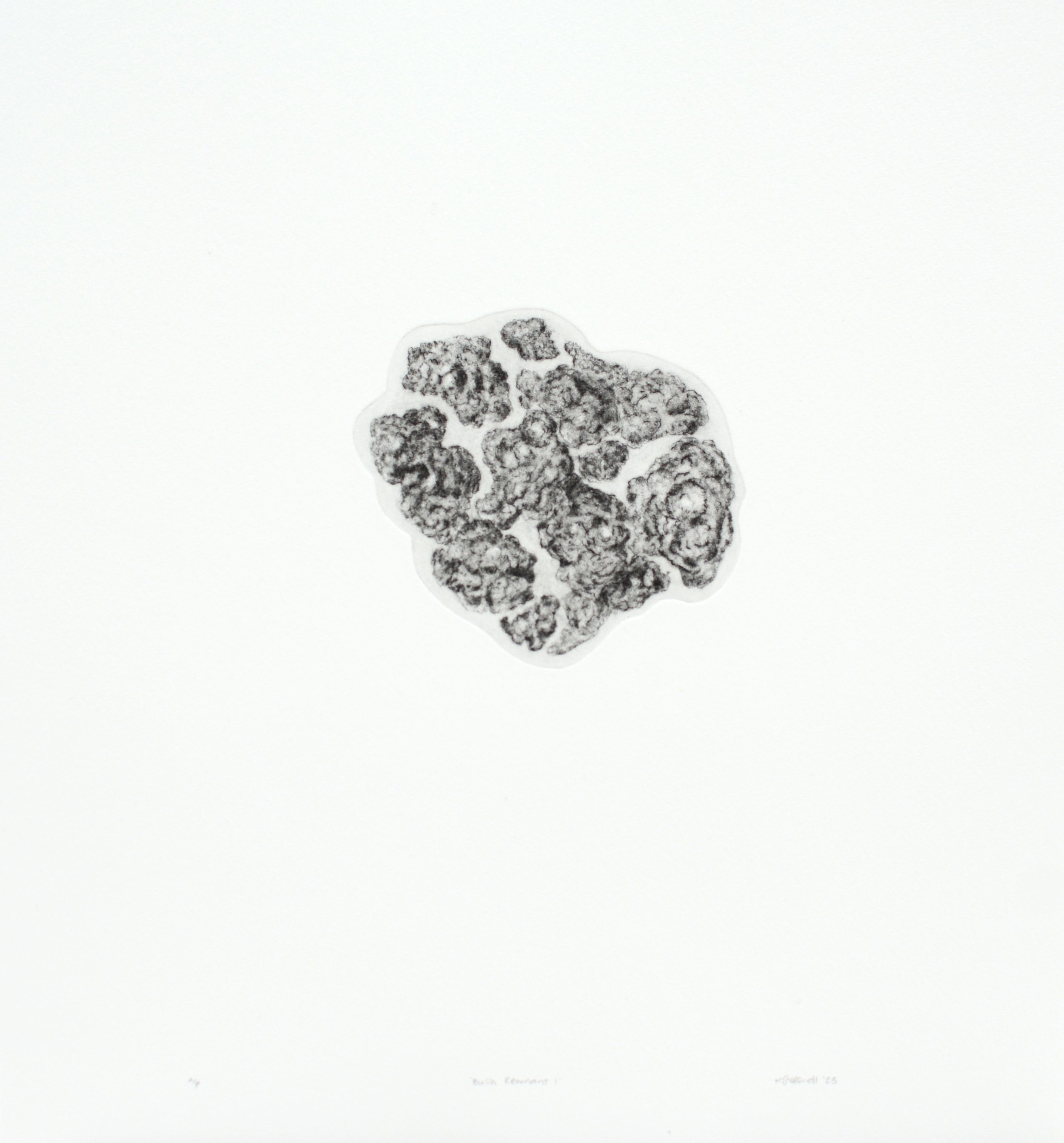  ‘Bush Remnant I’  Drypoint (full). Ink on Hahnemuhle 300gsm Paper. Image (variable): 113 x 125mm. Paper: 390 x 340mm. Edition of 6  Kyla Cresswell, 2023   