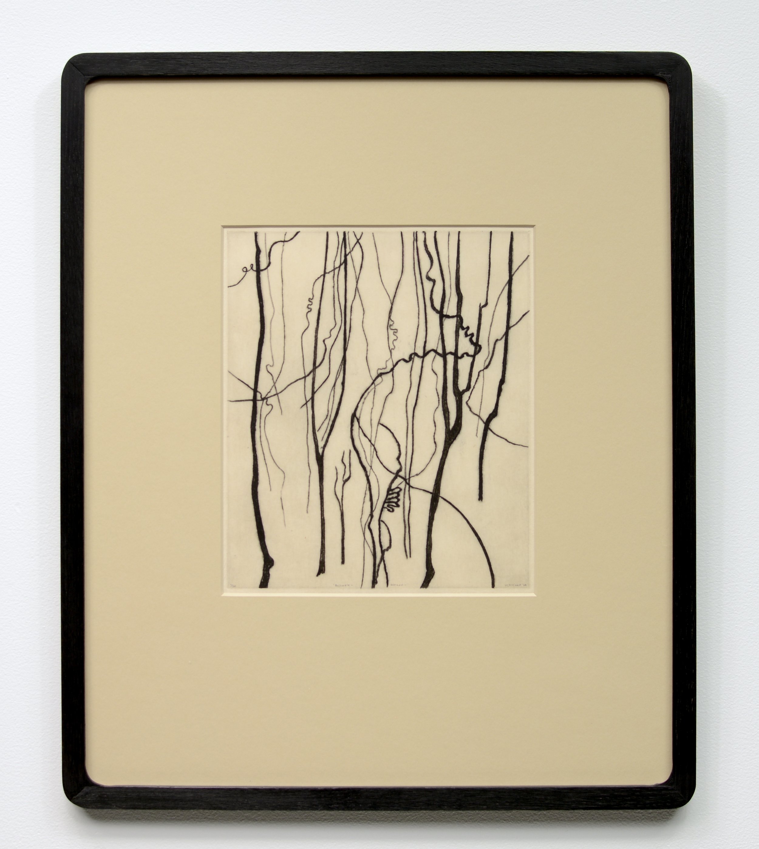 Bushwalk - Remnant I