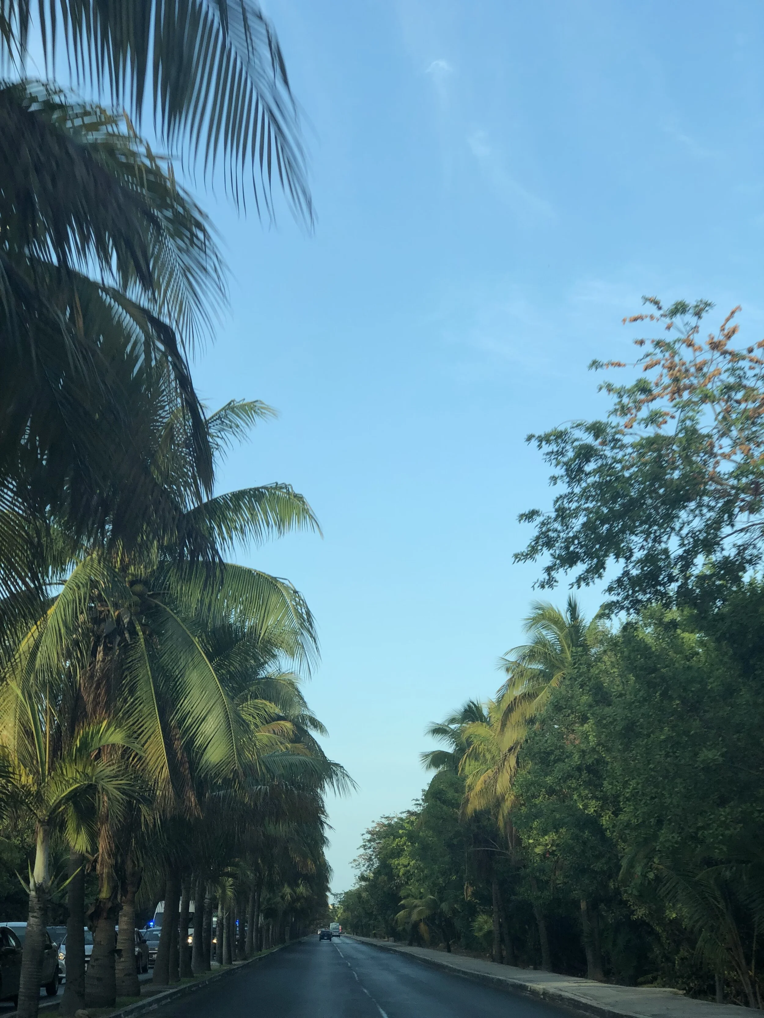 IMG_5853.jpeg