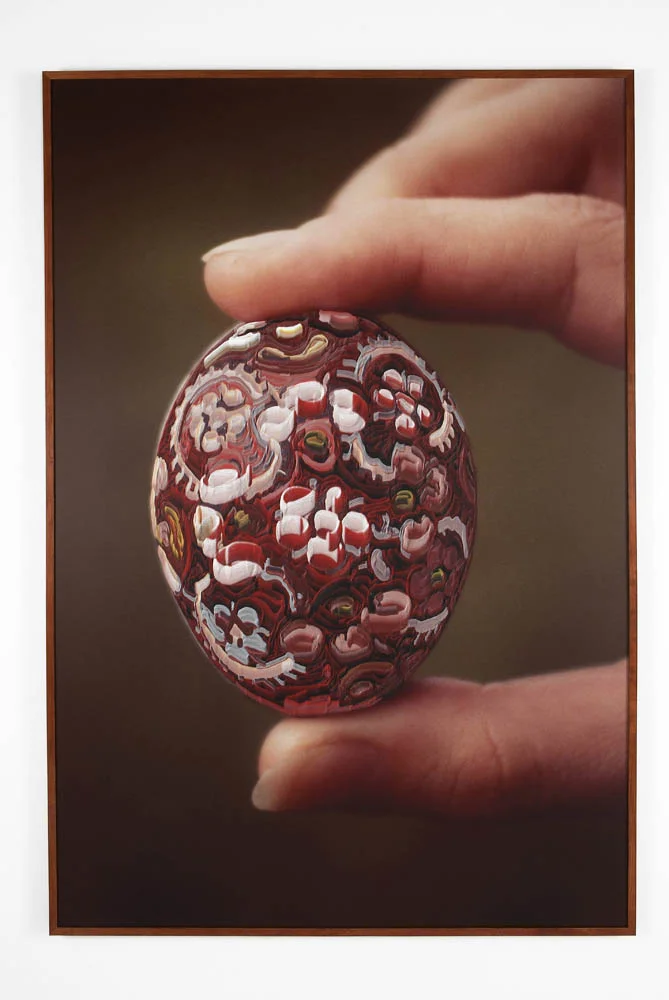 Motion of the Flesh, Path of the Fibre, Course of the Blood
