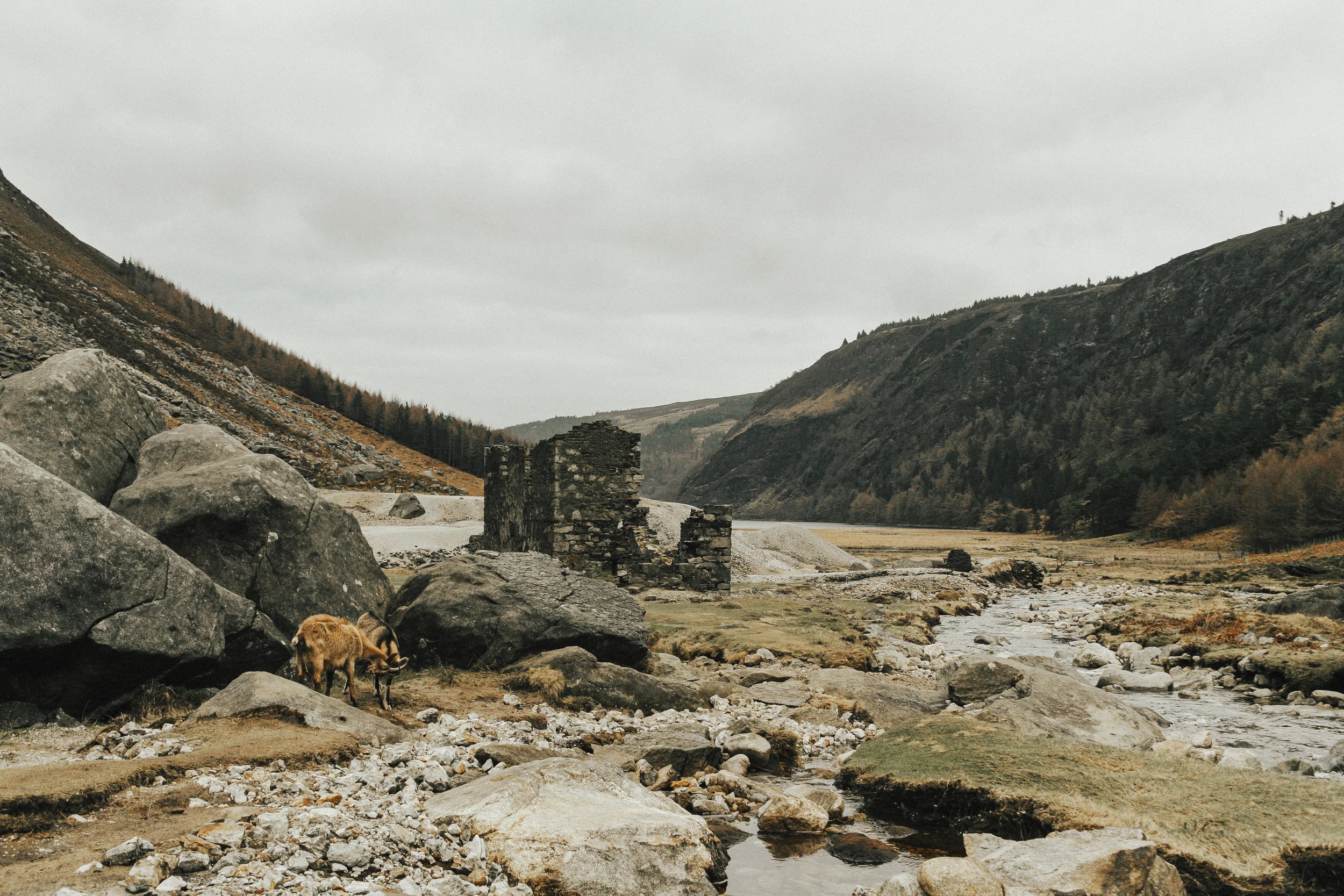 Glendalough (Irish: Gleann Dá Loch, meaning "Valley of two lakes") is a glacial valley in County Wicklow, Ireland, renowned for an Early Medieval monastic settlement founded in the 6th century by St Kevin.