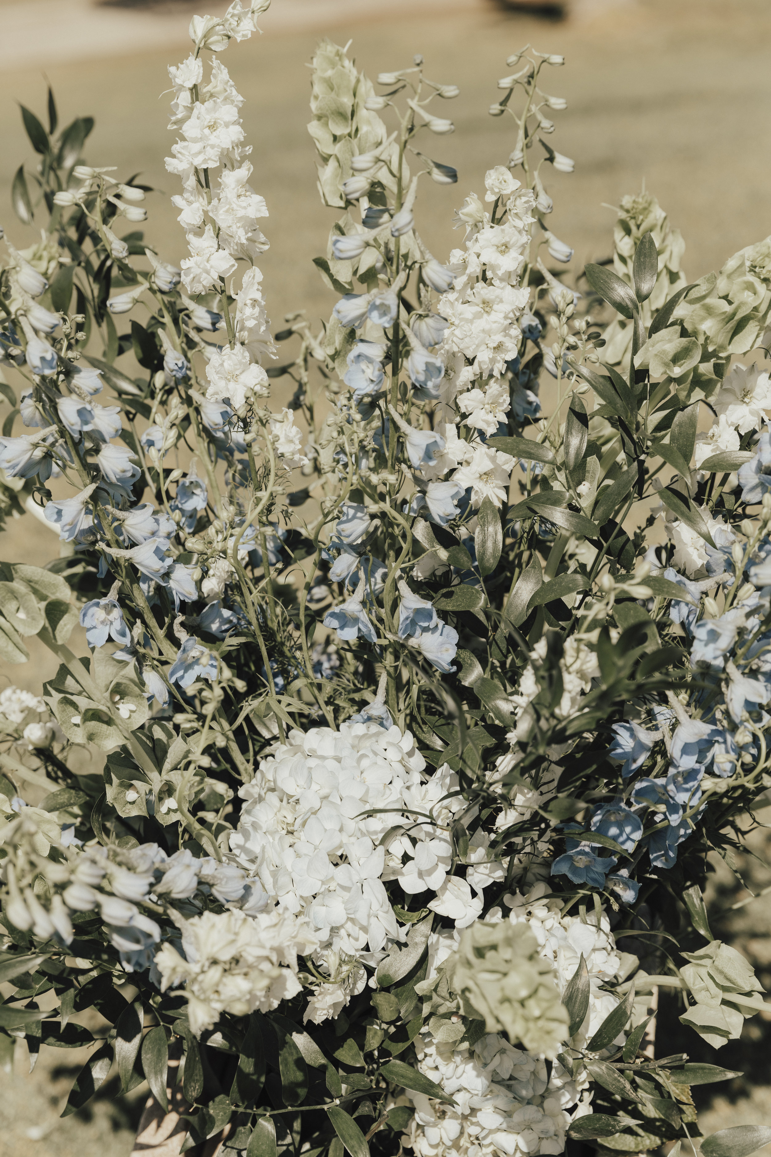 IMG_9974_RO+CO.JPG
