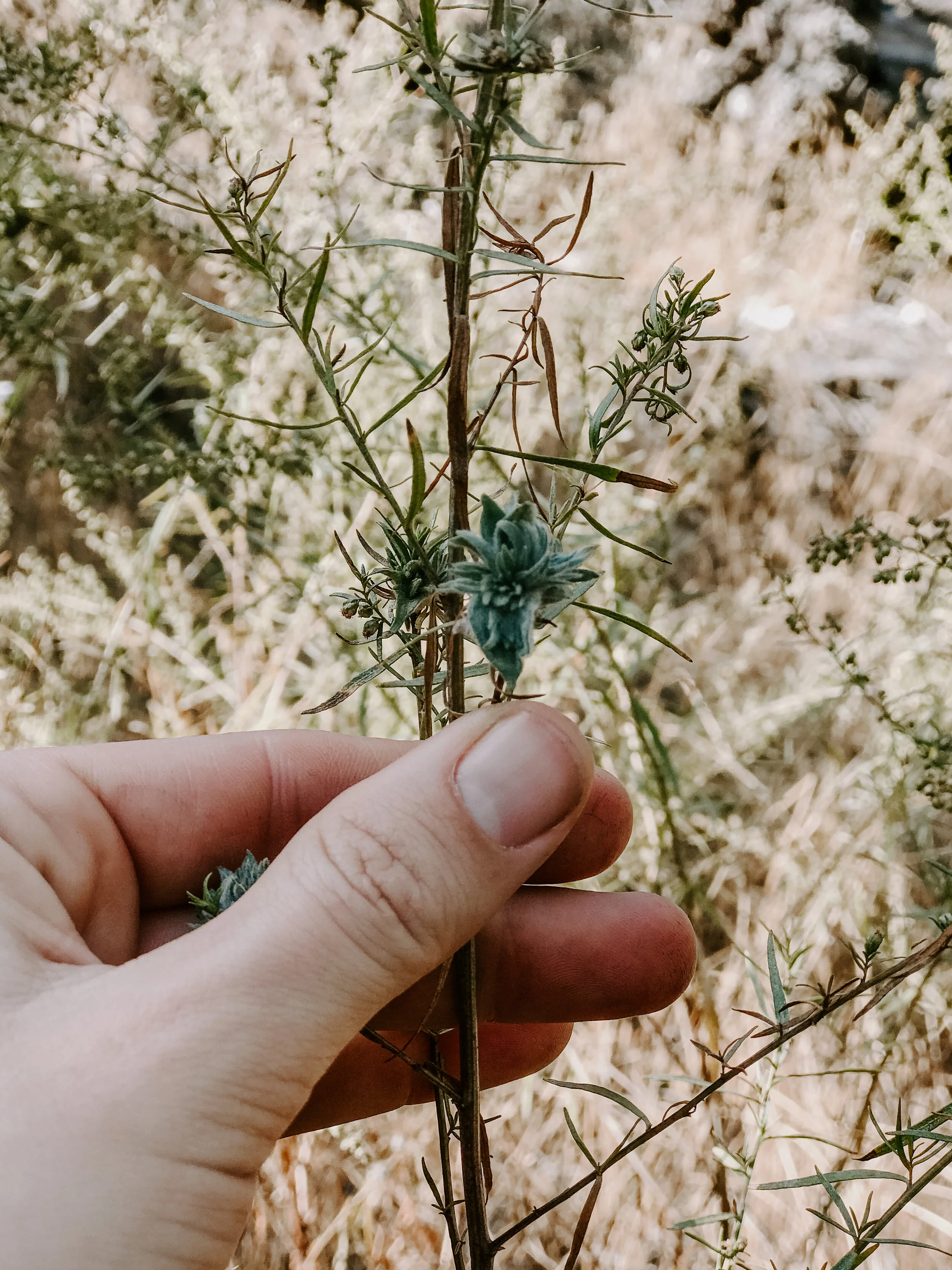 BIO14-6421.jpg