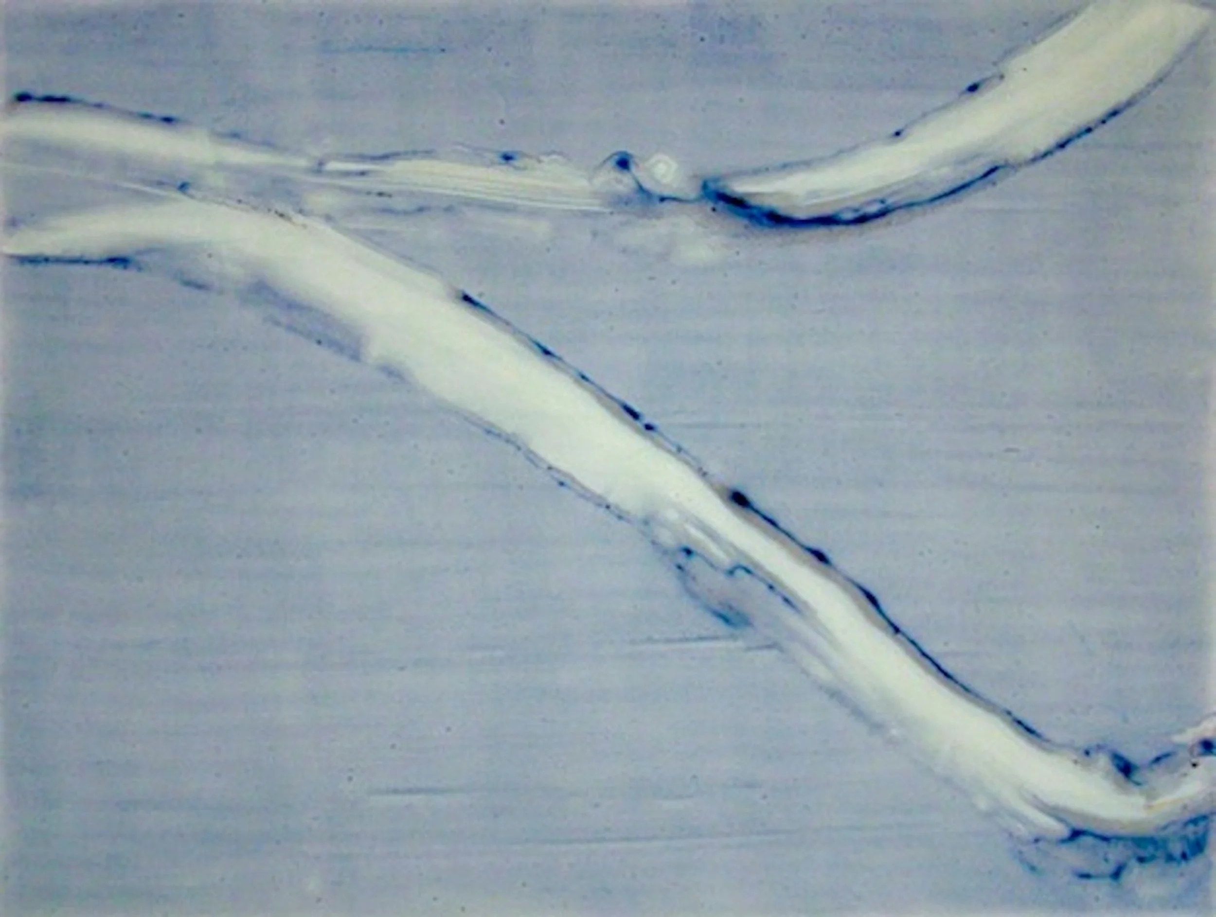Fresh Acylic on paper 19" x 25"