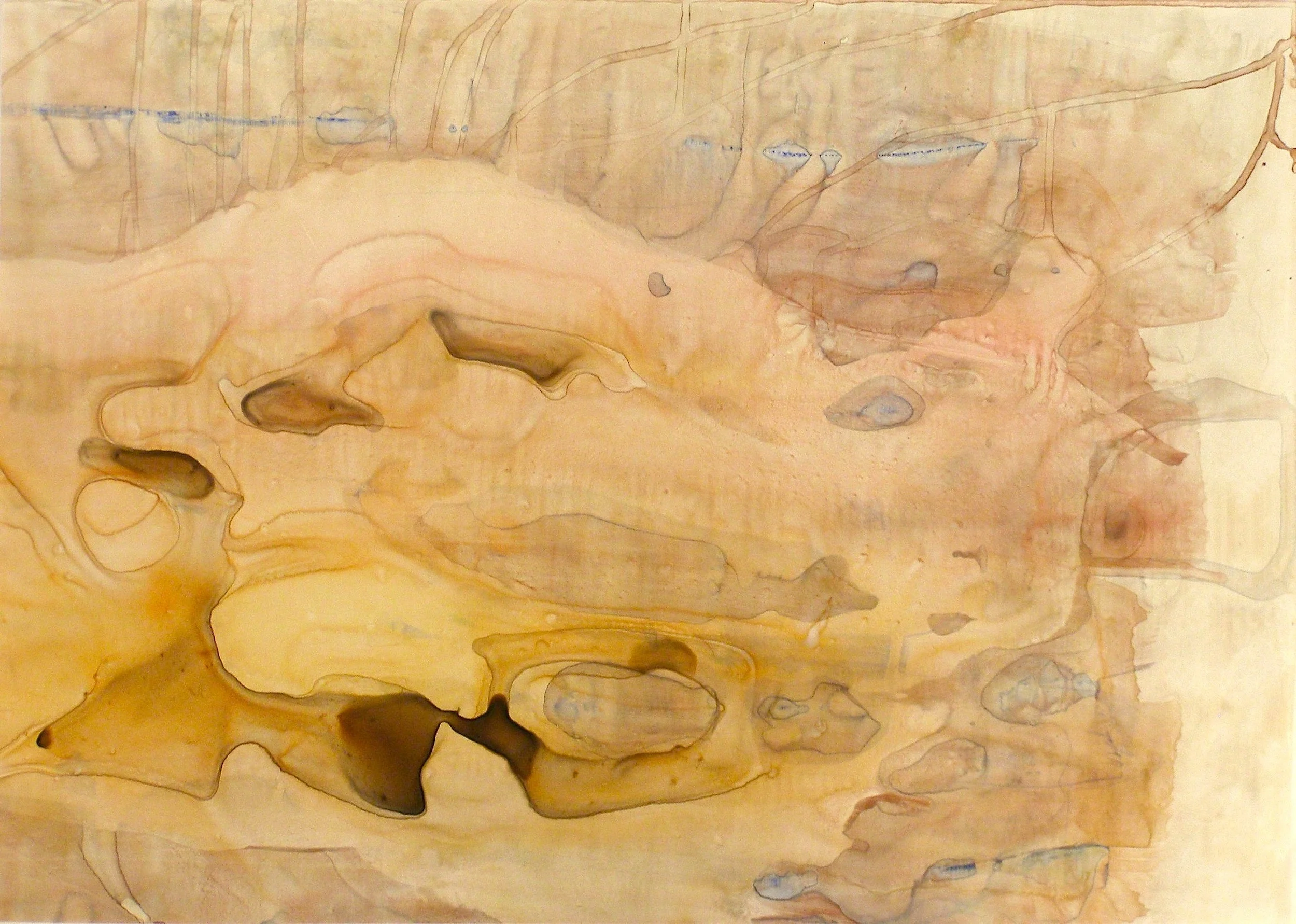 Shell Acylic on paper 20" x 28"