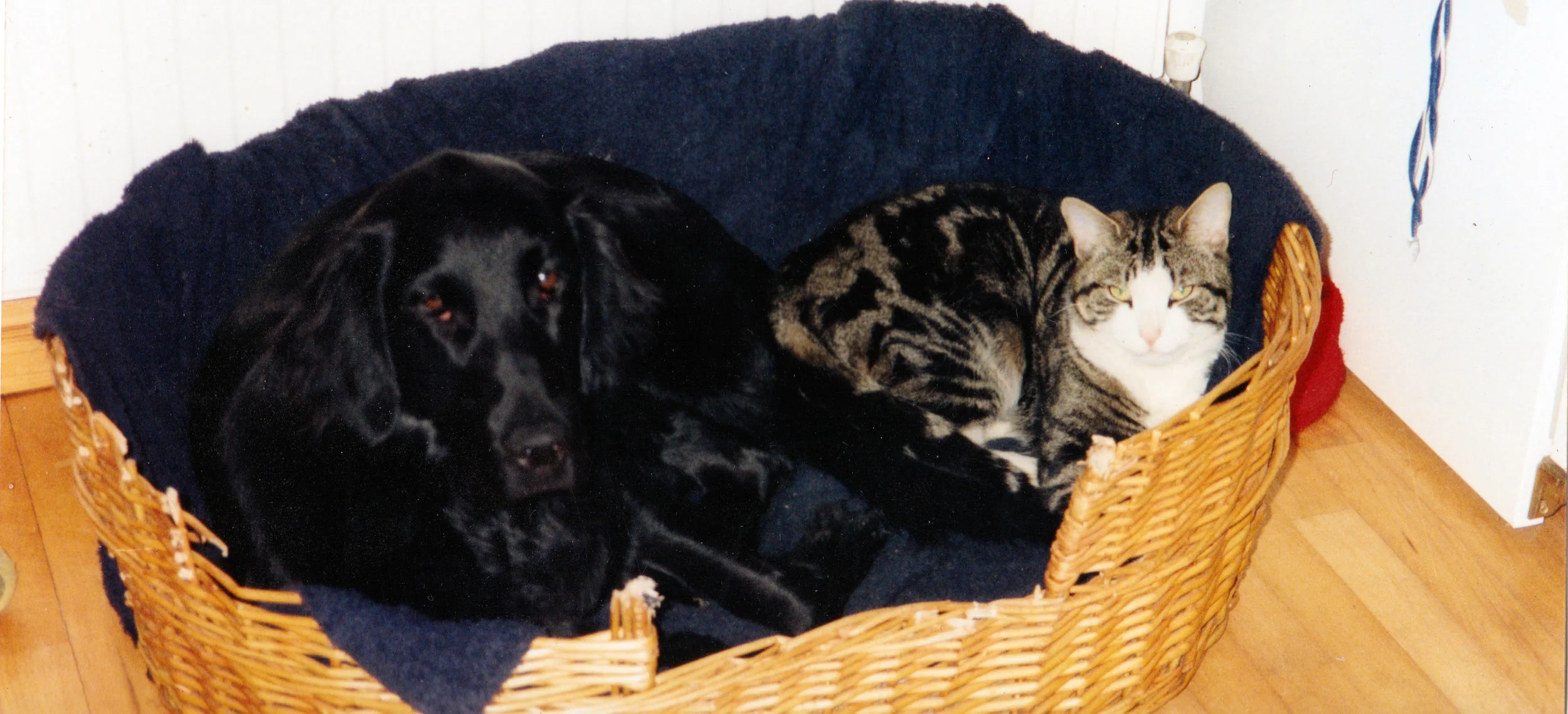 Scan 11.jpeg