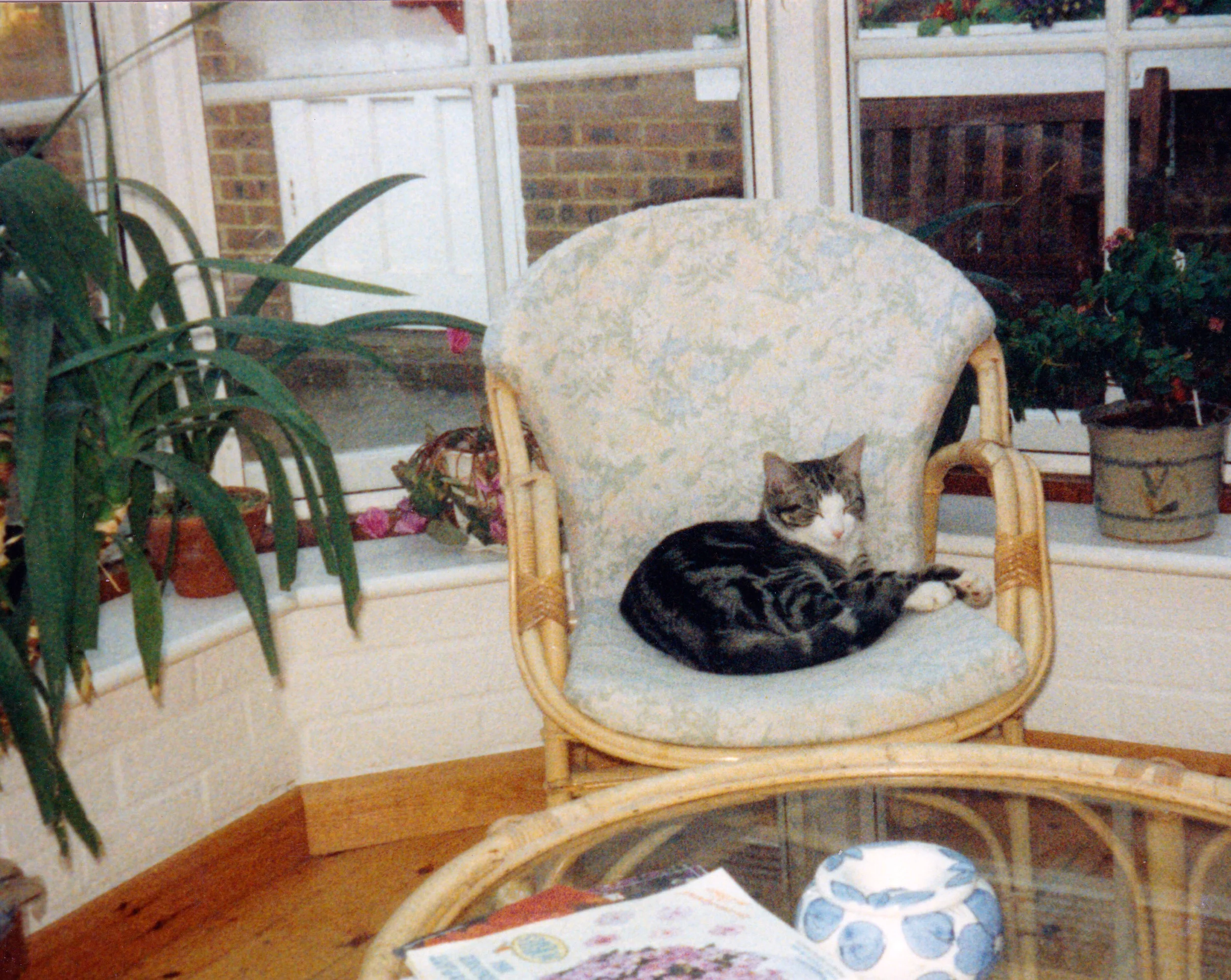 Scan 115.jpeg