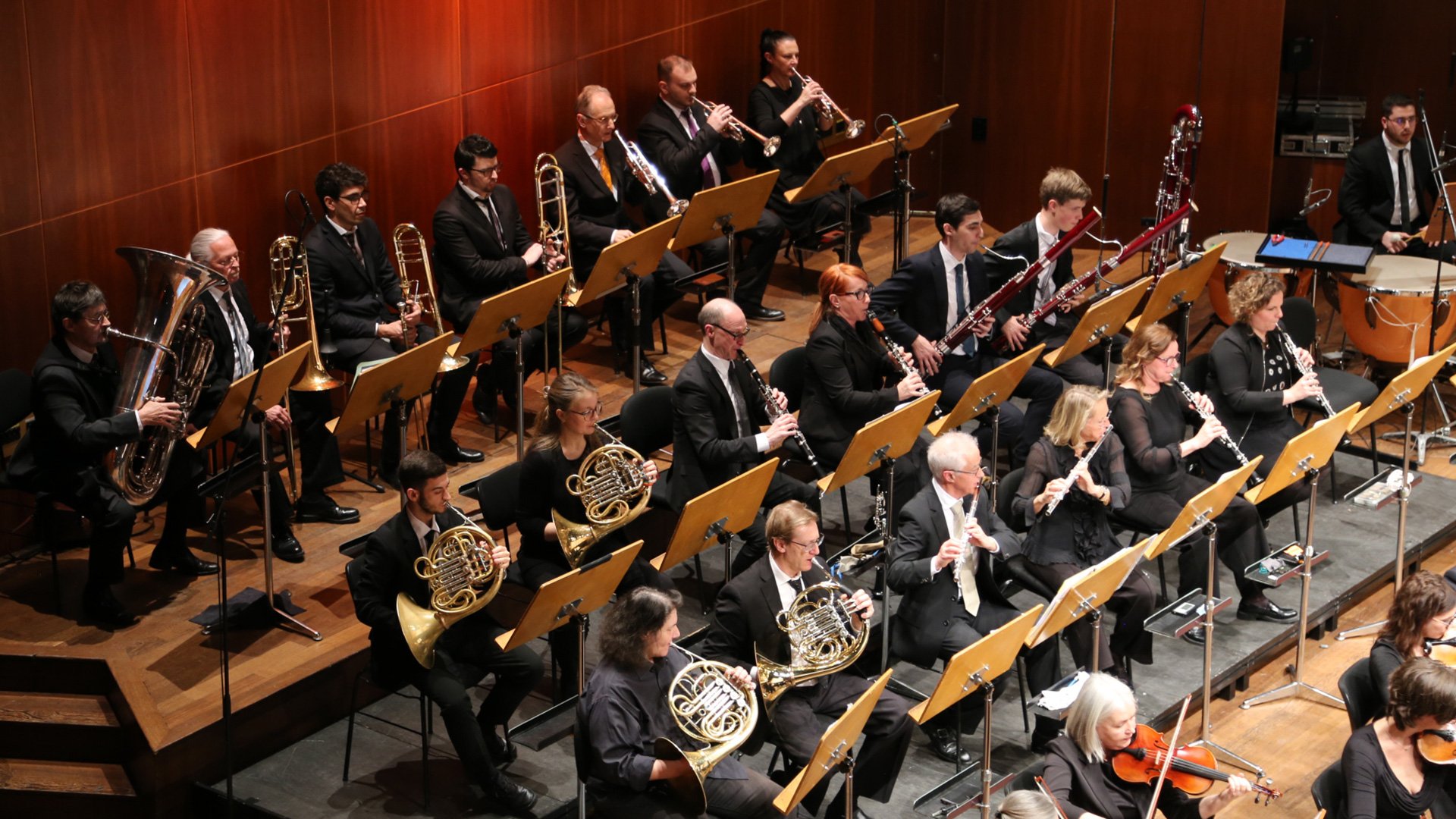 bg_orchestra_27.jpg