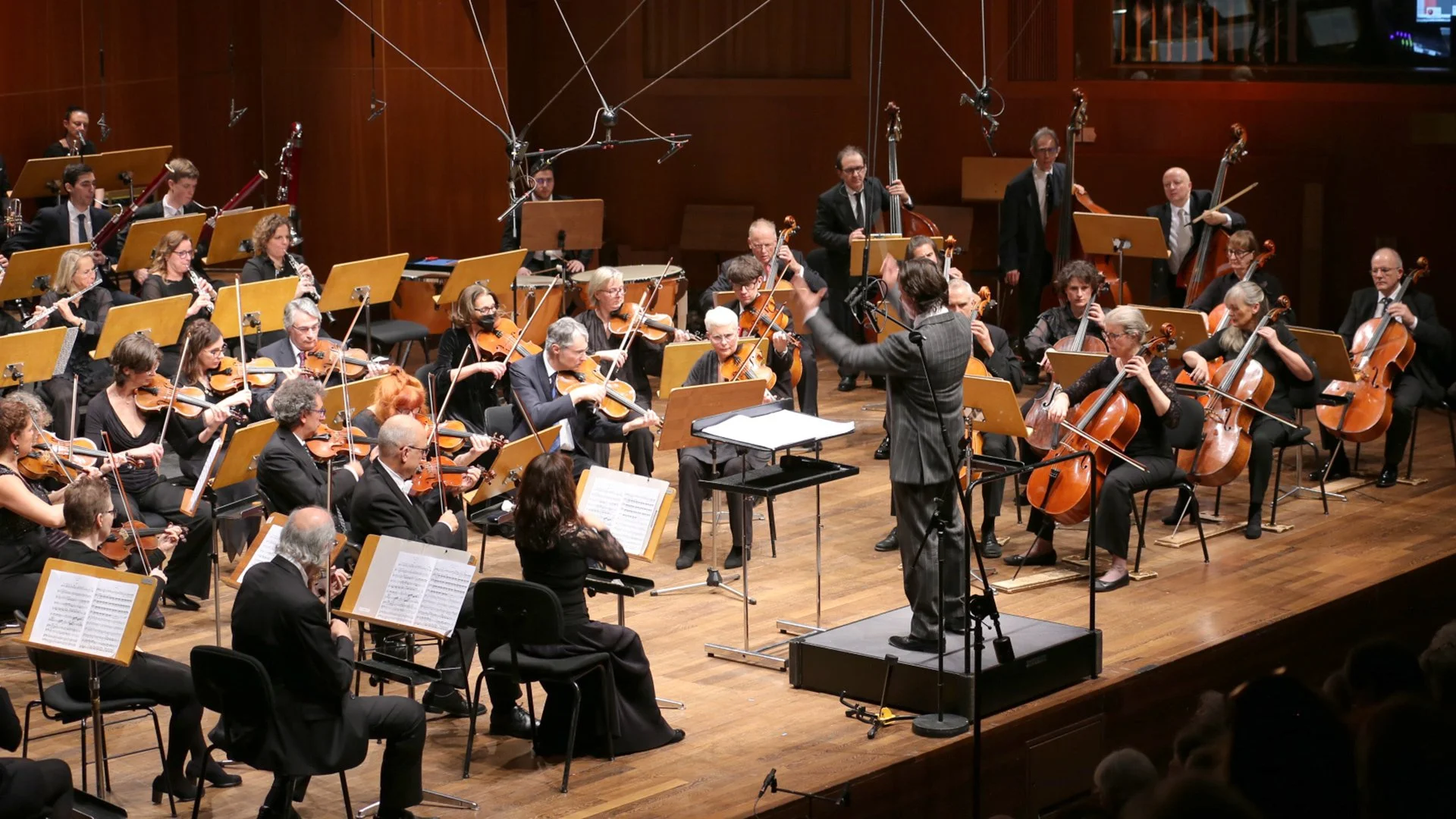bg_orchestra_28.jpg