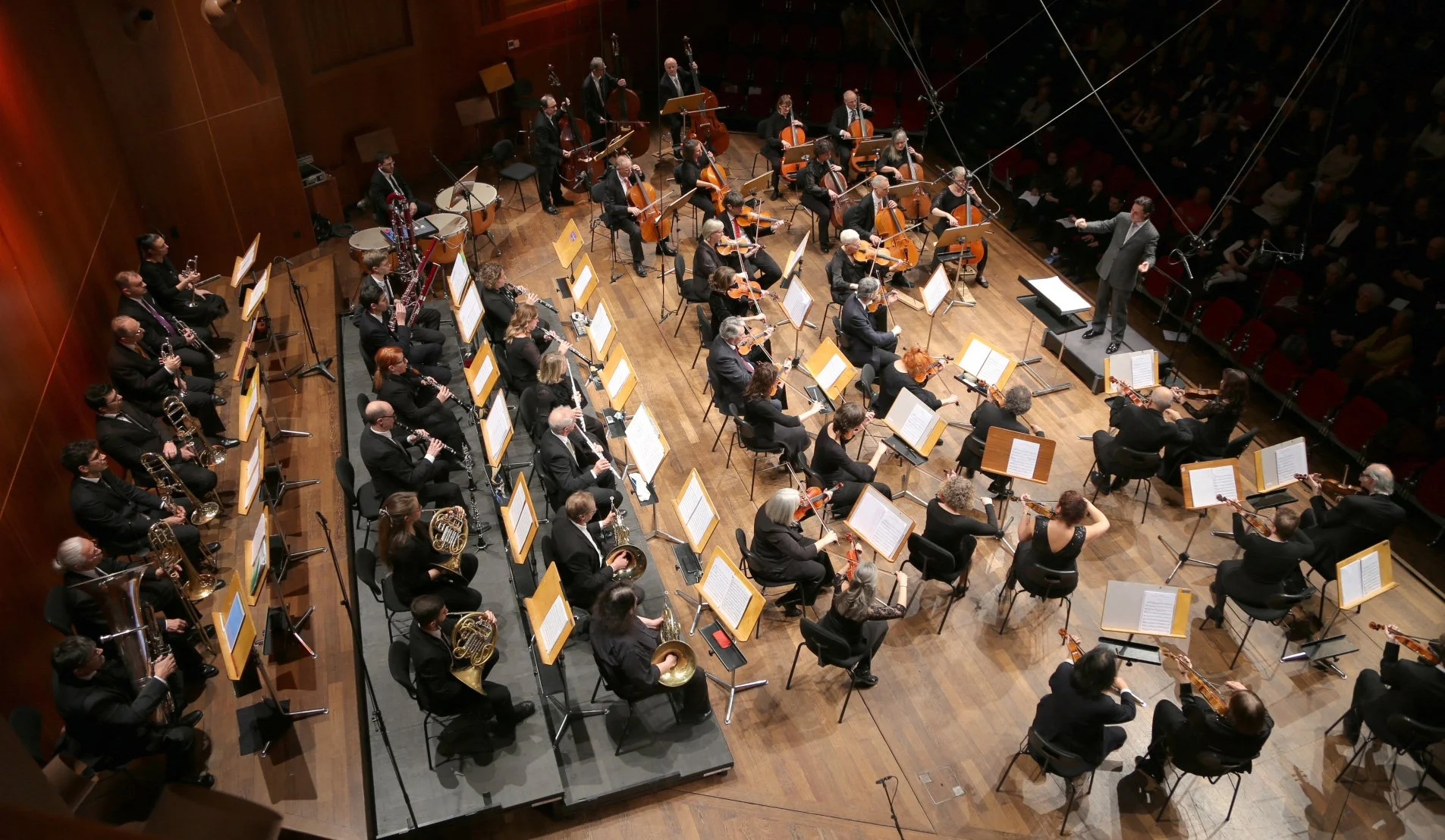 bg_orchestra_29.jpg