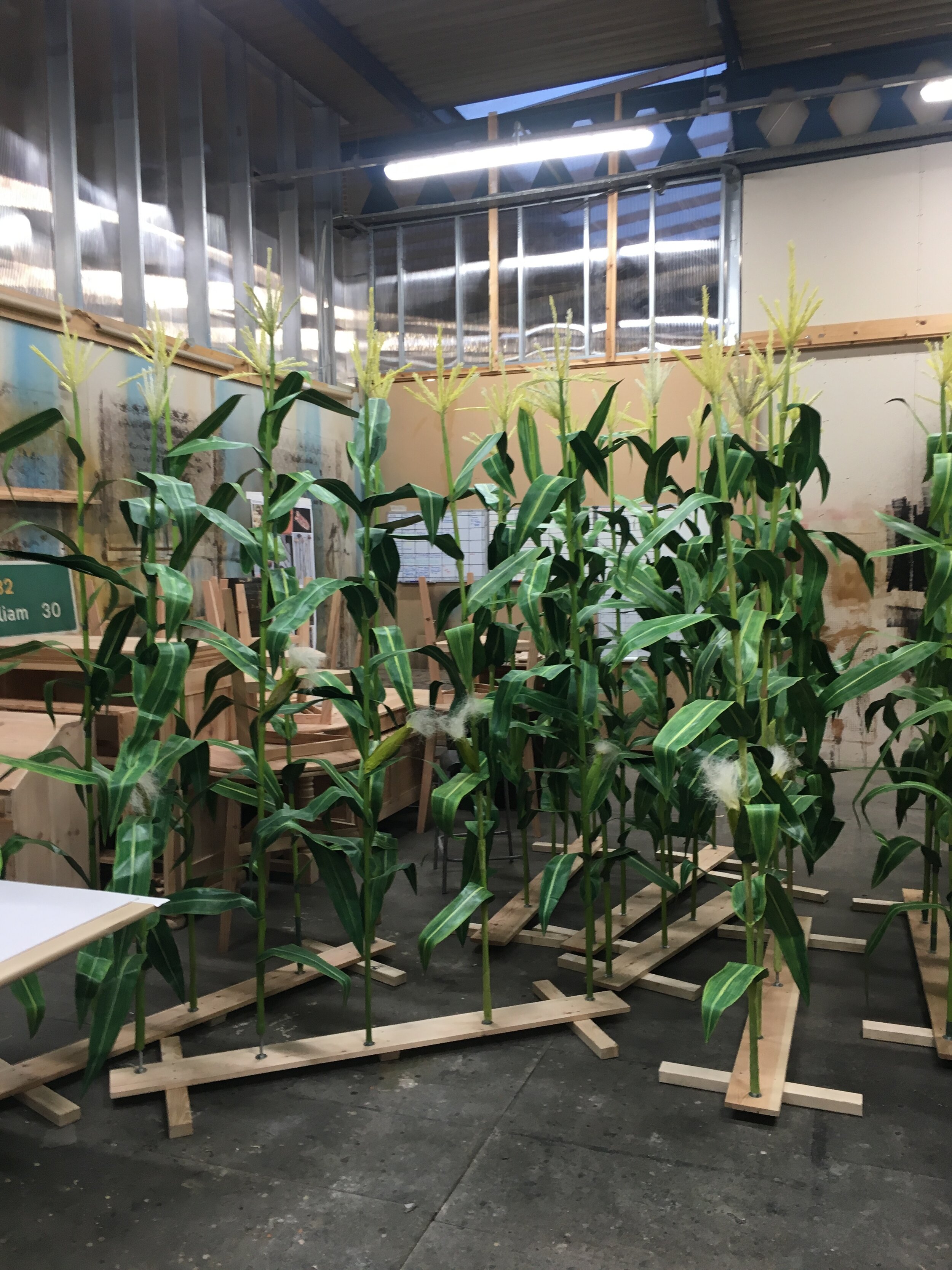 Replica corn plants - Outlander S5. Made with Rachel George